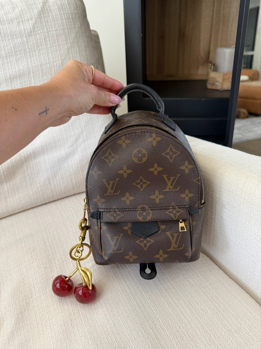 Louis Vuitton Mini Palm Spring Backpack