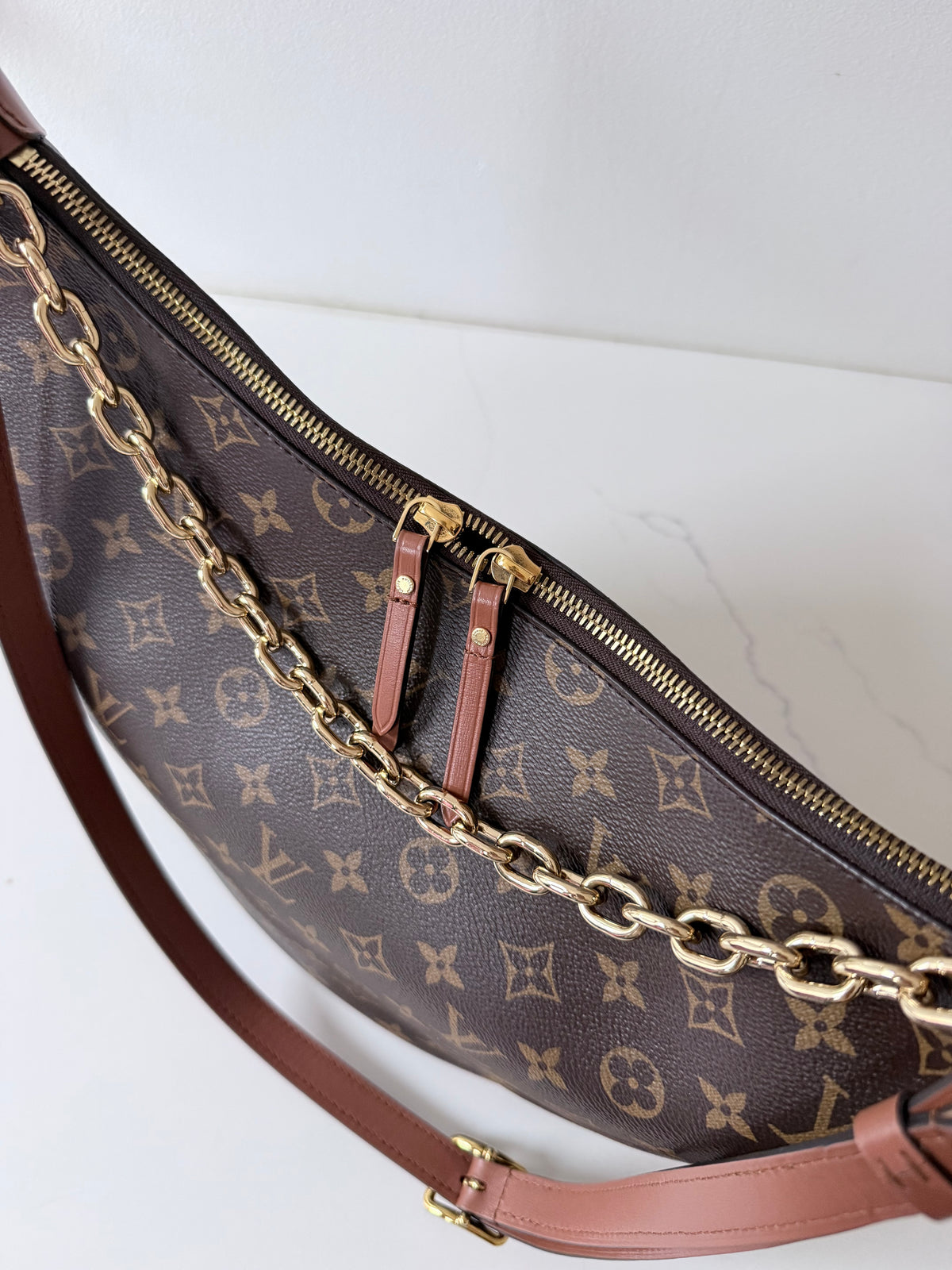 Louis Vuitton Loop Hobo Reverse Monogram Canvas