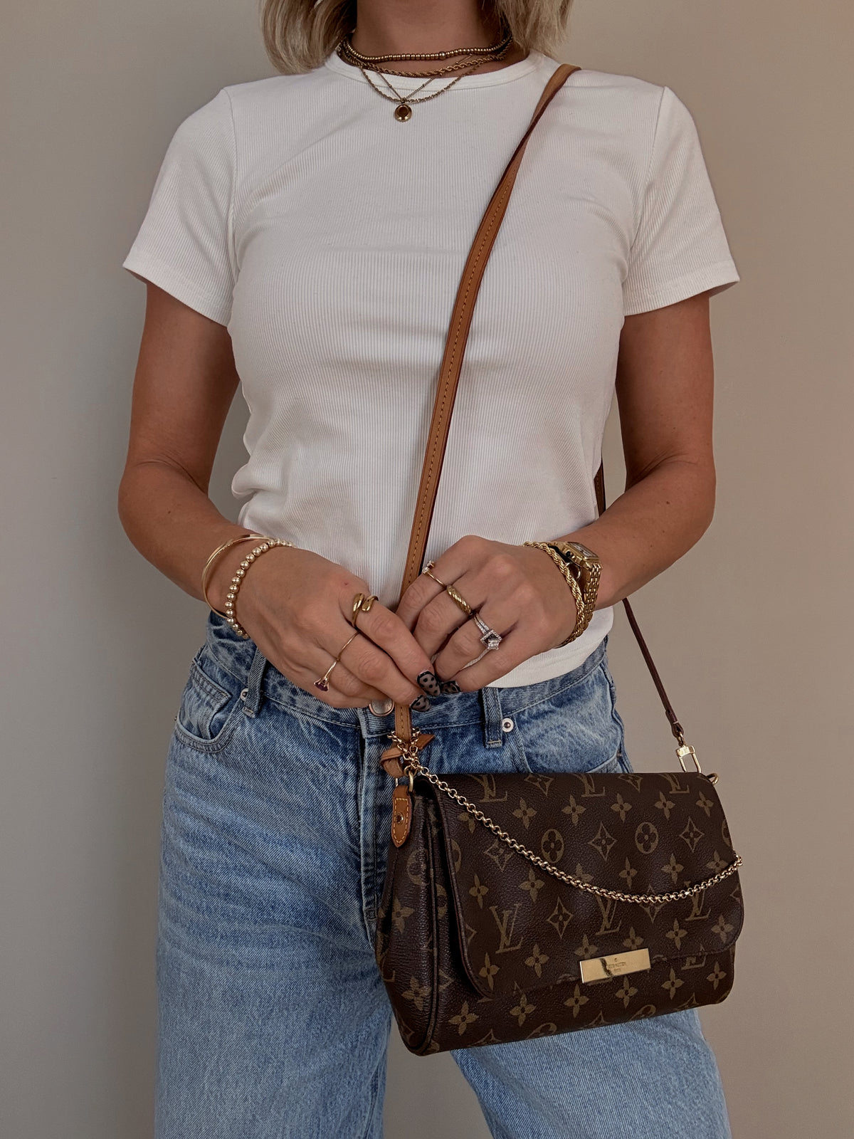 Louis Vuitton Favorite MM Monogram
