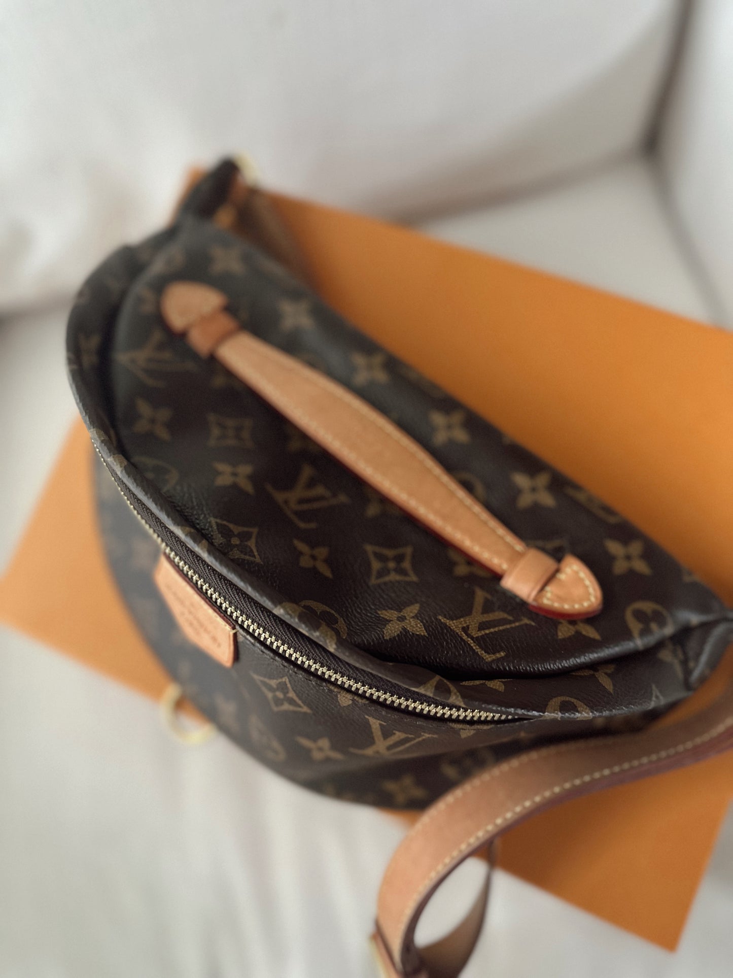 Louis Vuitton Monogram Bumbag