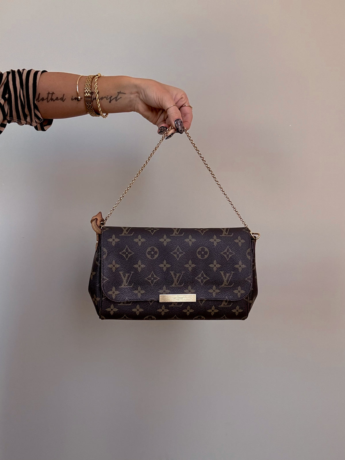 Louis Vuitton Favorite MM Monogram