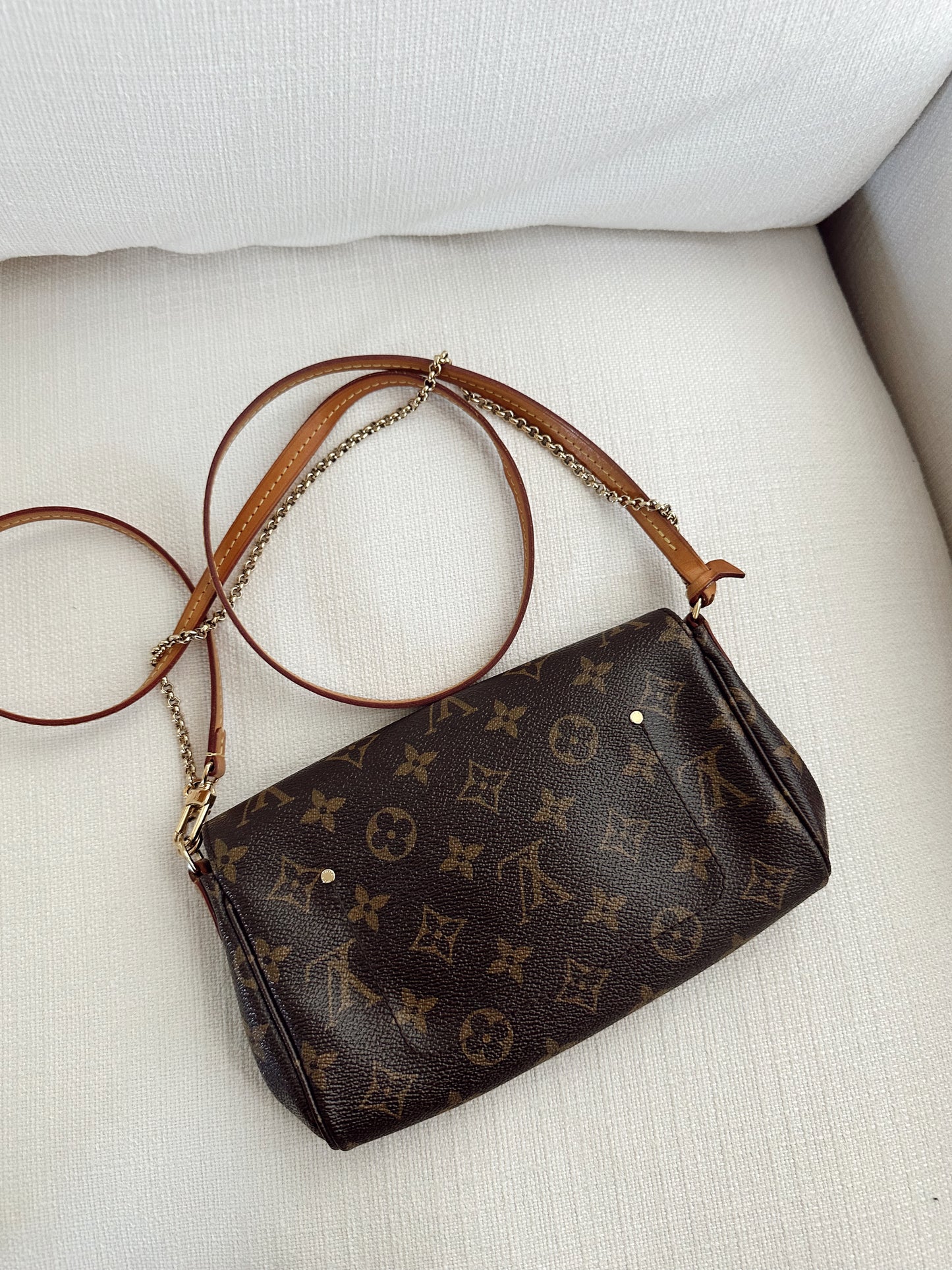 Louis Vuitton Favorite PM