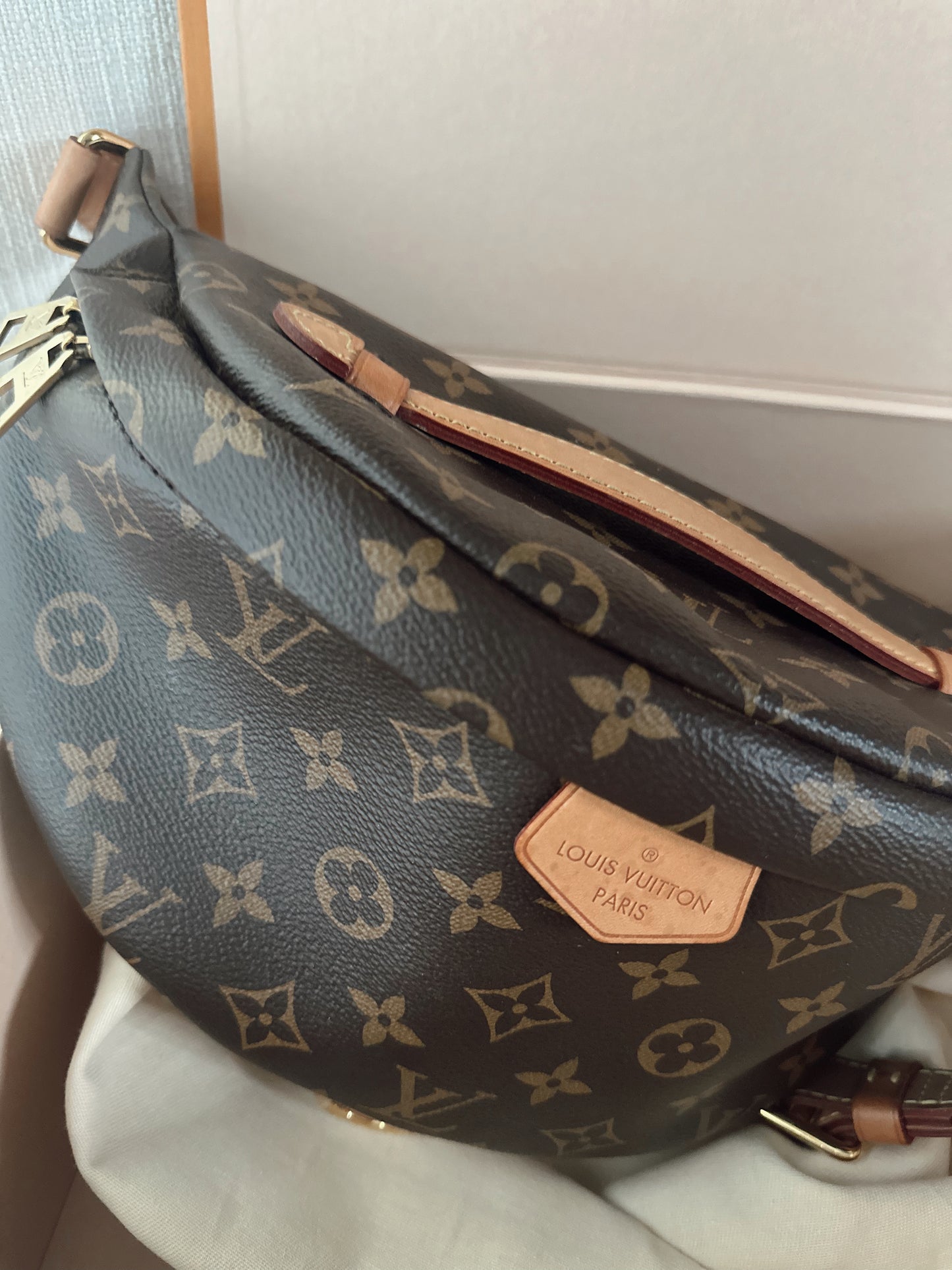 Louis Vuitton Monogram Bumbag