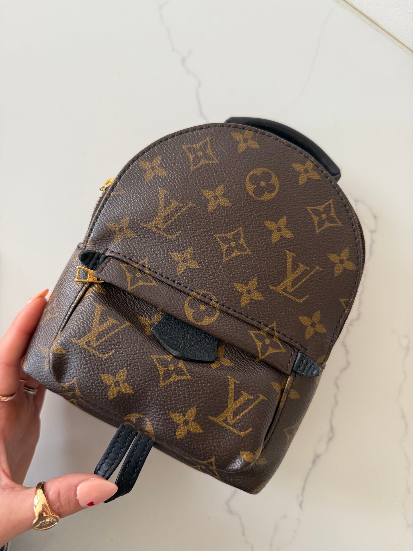 Louis Vuitton Mini Palm Spring Backpack