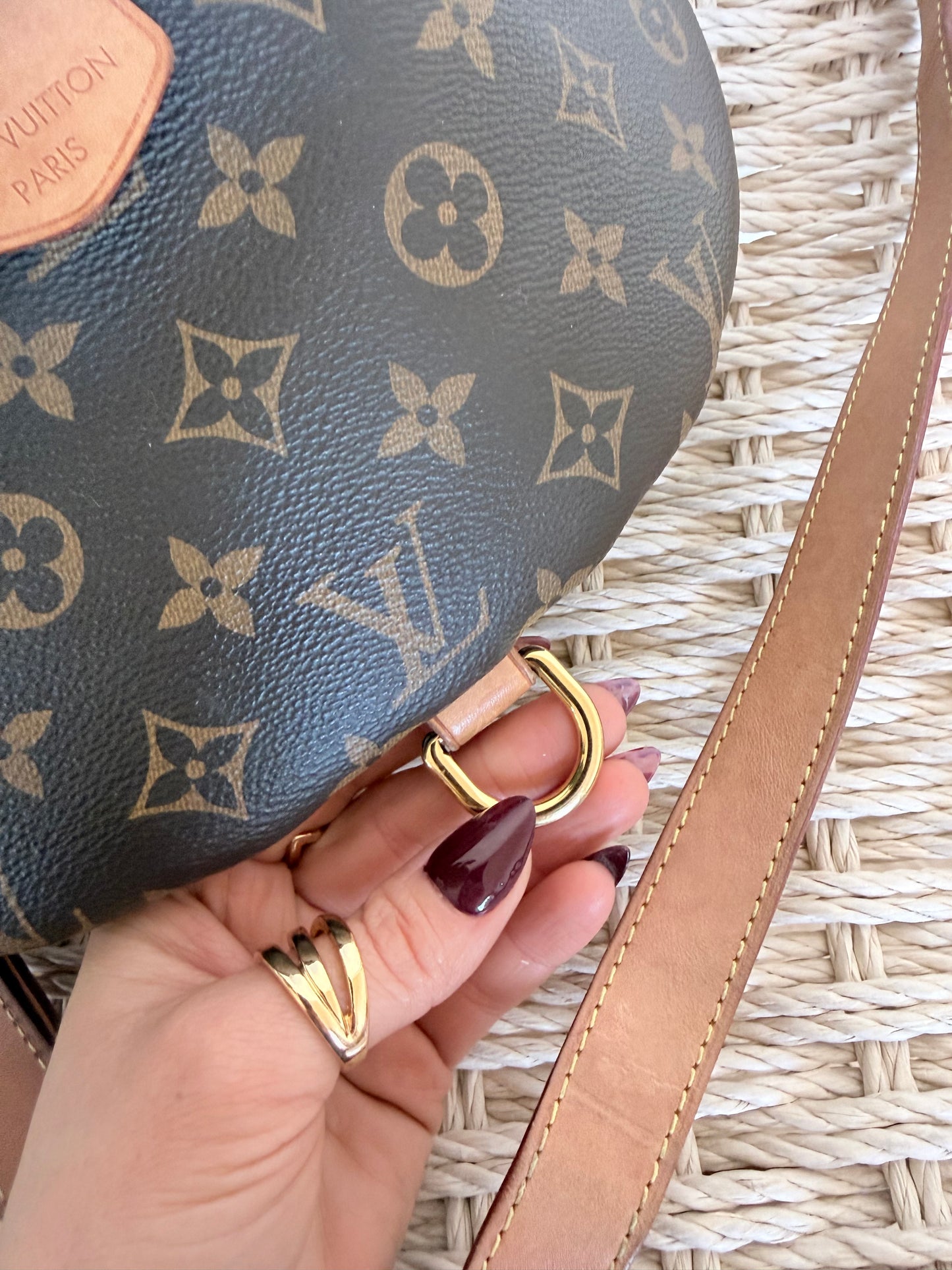 Louis Vuitton Bumbag Monogram