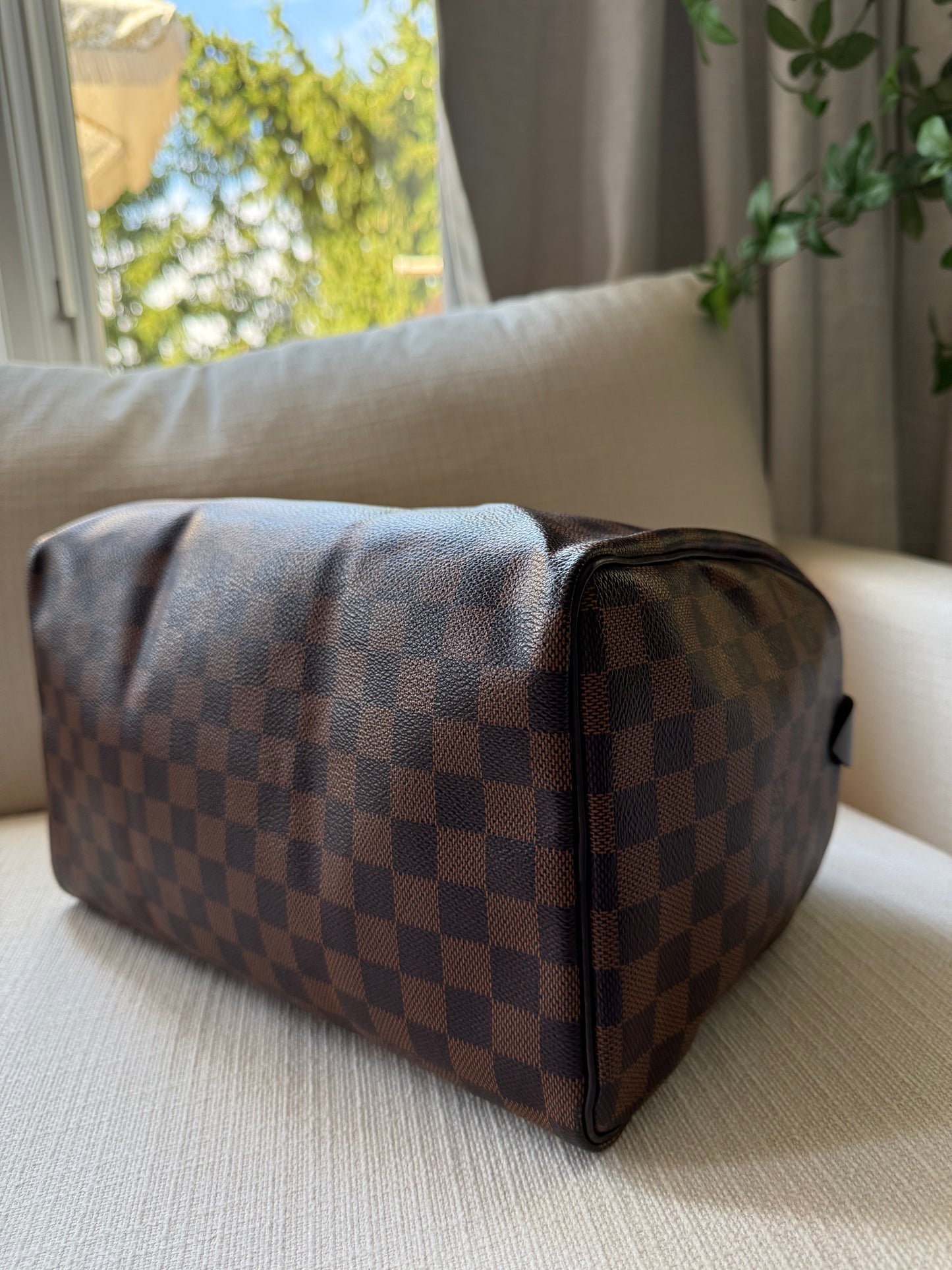 Louis Vuitton Speedy 30 Damier Ebene