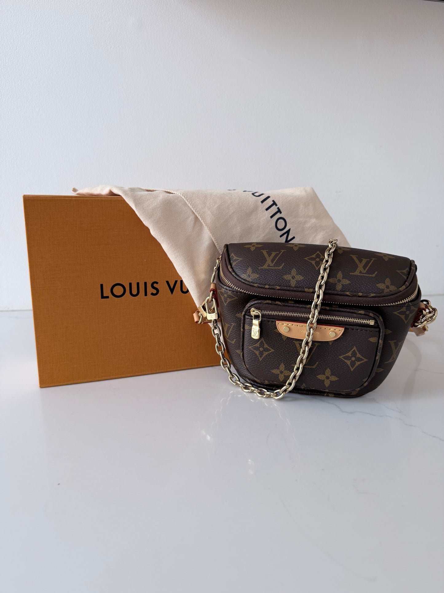 Louis Vuitton Mini Bumbag Monogram