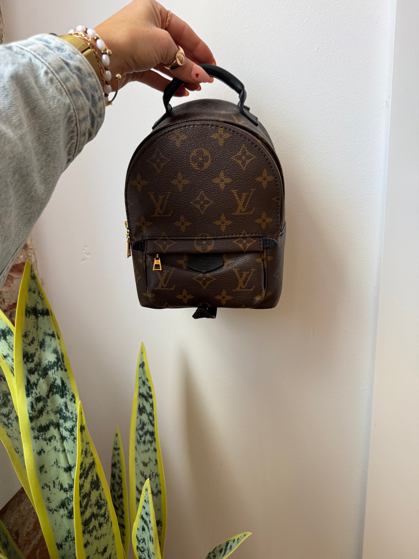 Louis Vuitton Mini Palm Spring Backpack