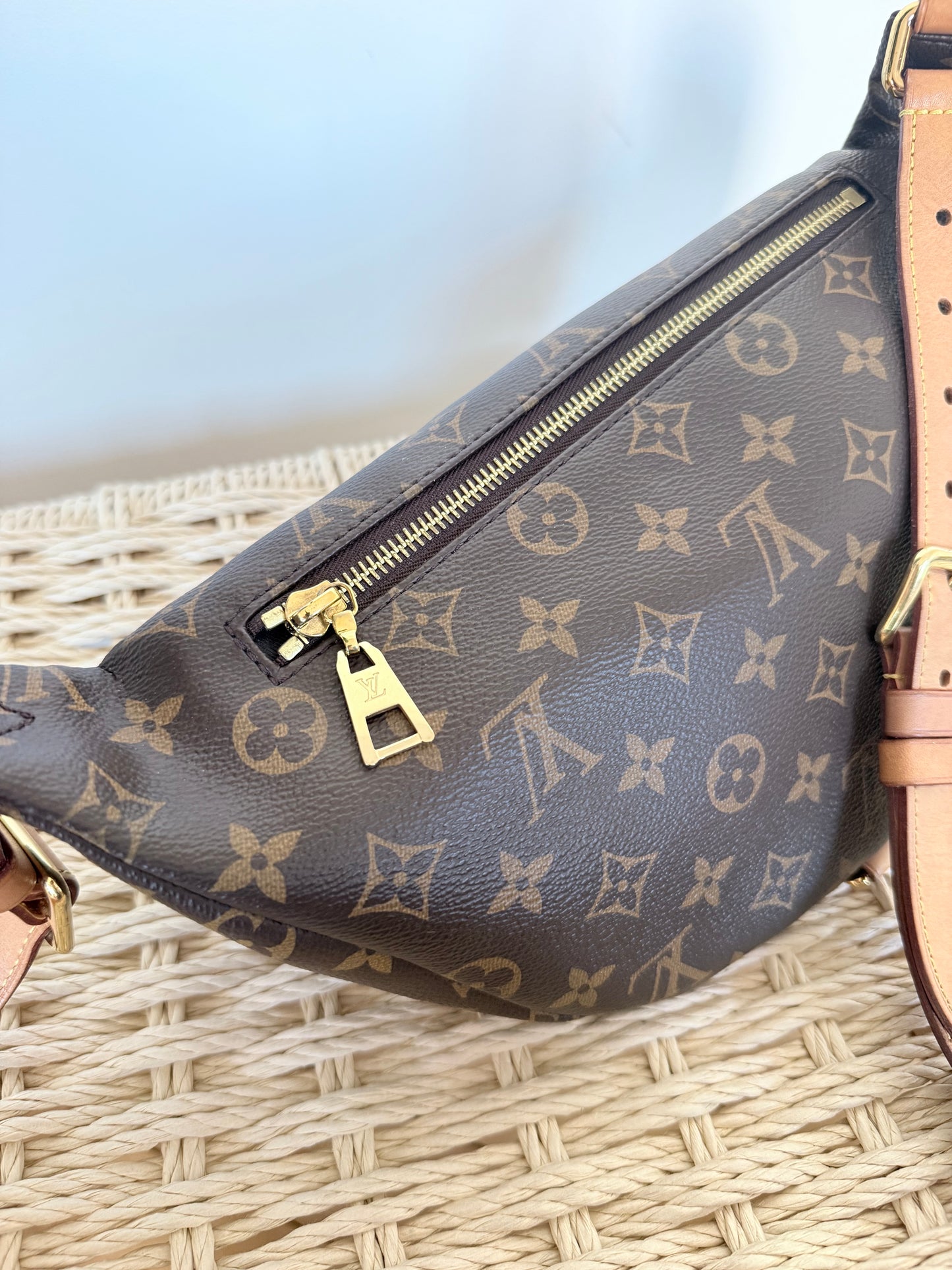 Louis Vuitton Bumbag Monogram