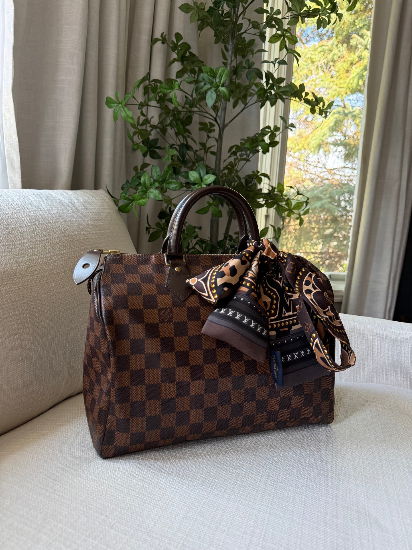Louis Vuitton Speedy 30 Damier Ebene