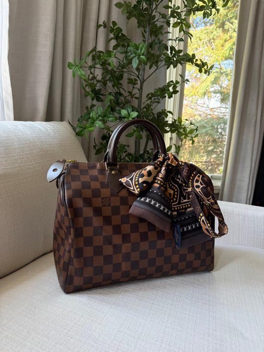 Louis Vuitton Speedy 30 Damier Ebene