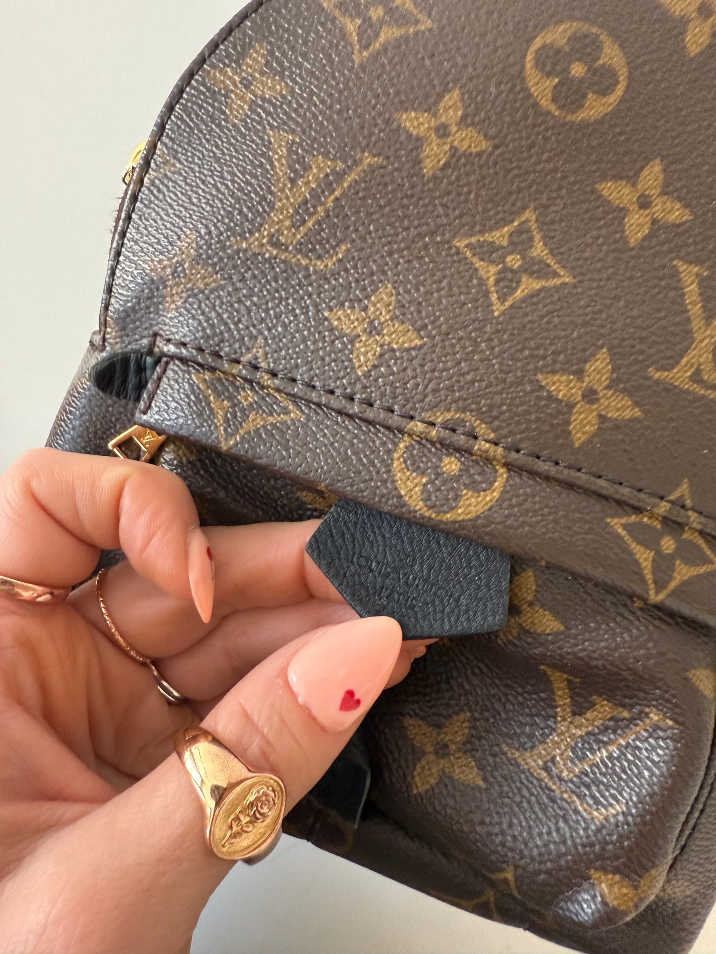 Louis Vuitton Mini Palm Spring Backpack