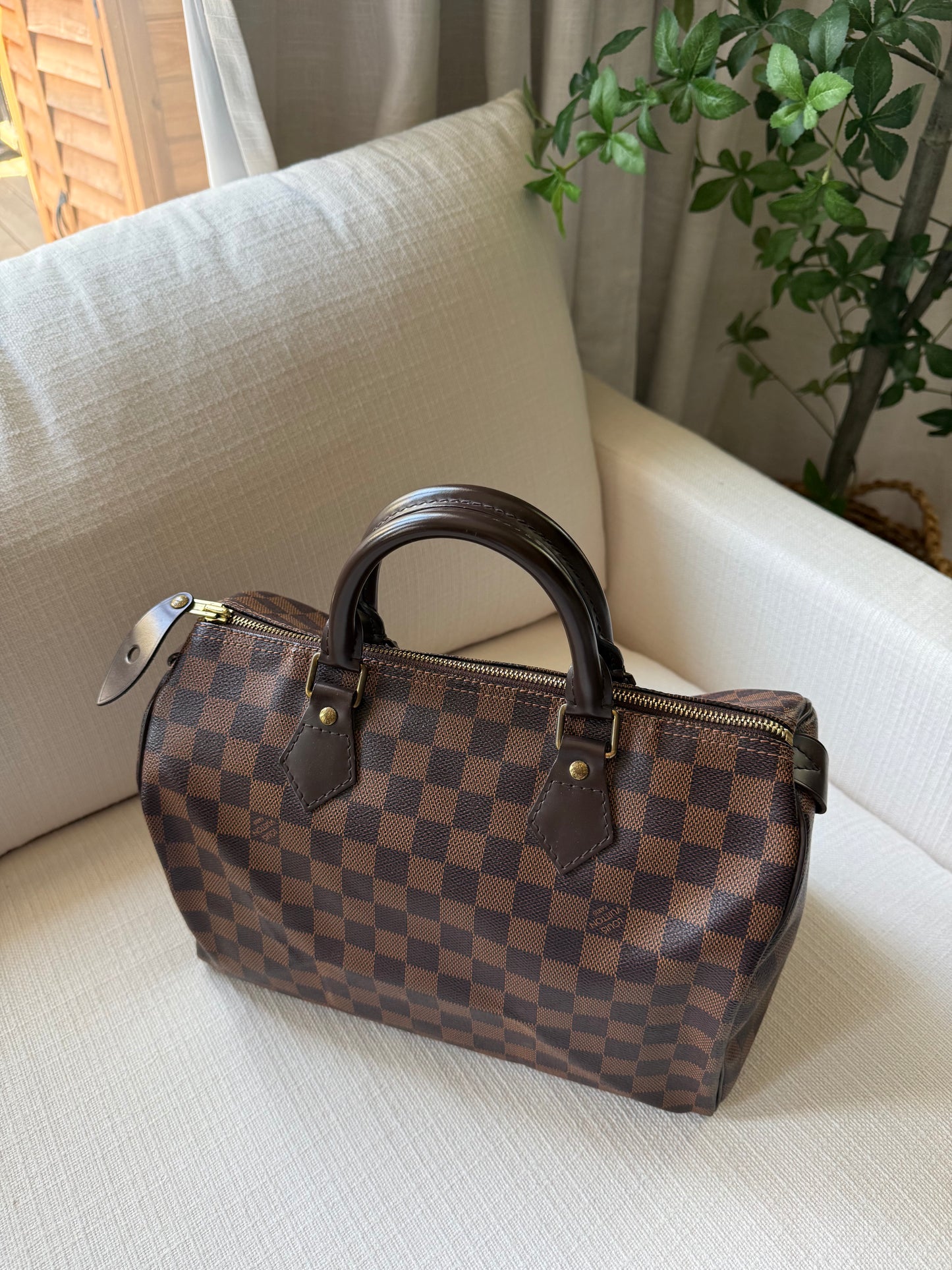 Louis Vuitton Speedy 30 Damier Ebene