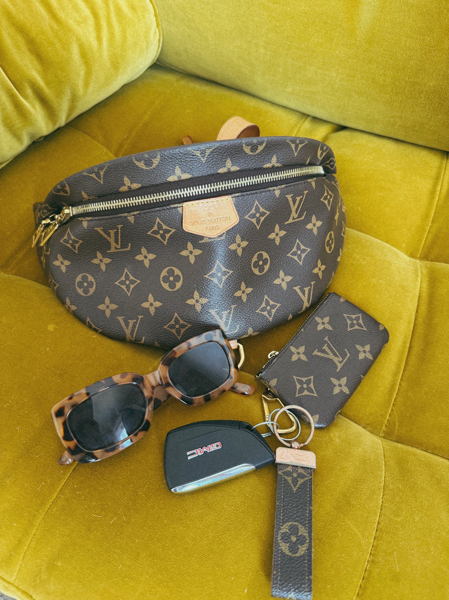 Louis Vuitton Bum Bag