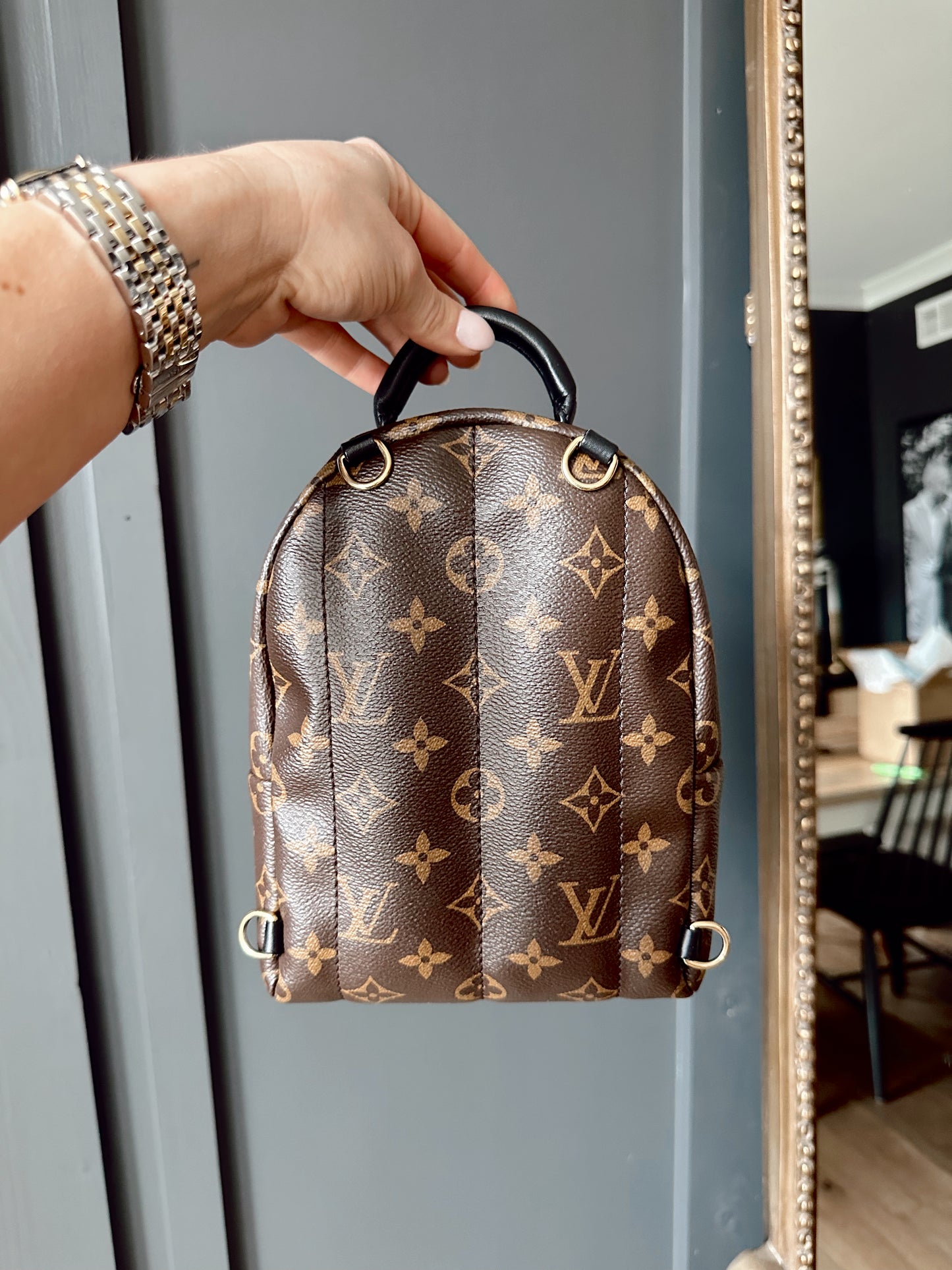 Louis Vuitton Palm Springs Mini Back Pack