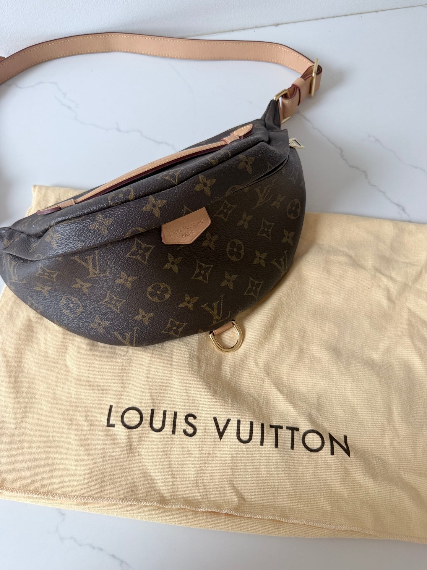 Louis Vuitton Bumbag Monogram