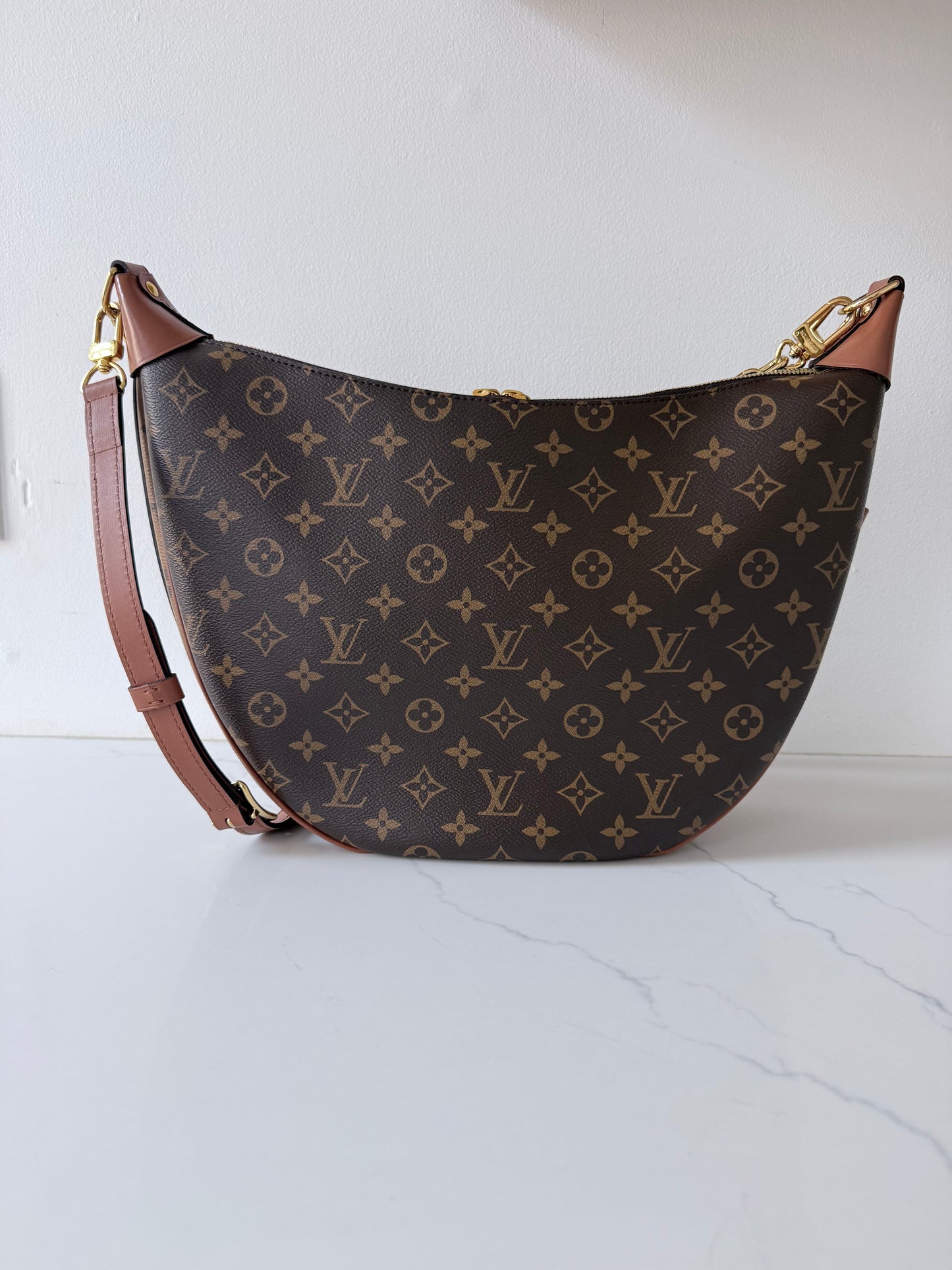 Louis Vuitton Loop Hobo Reverse Monogram Canvas