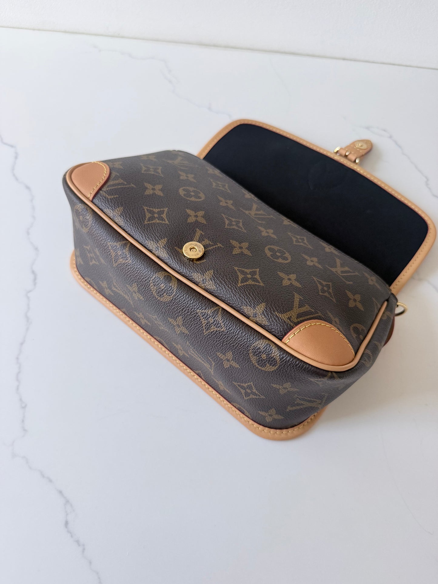 Louis Vuitton Monogram Diane
