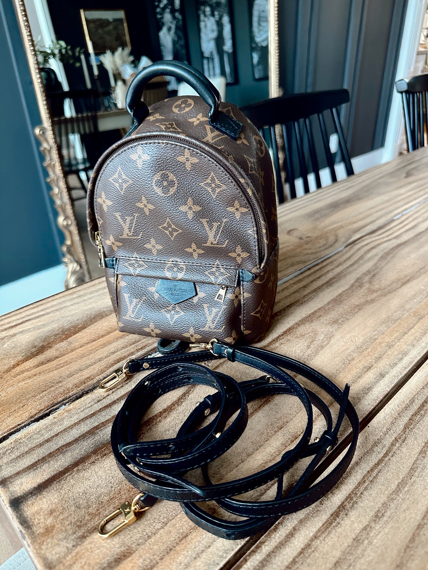 Louis Vuitton Palm Springs Mini Back Pack