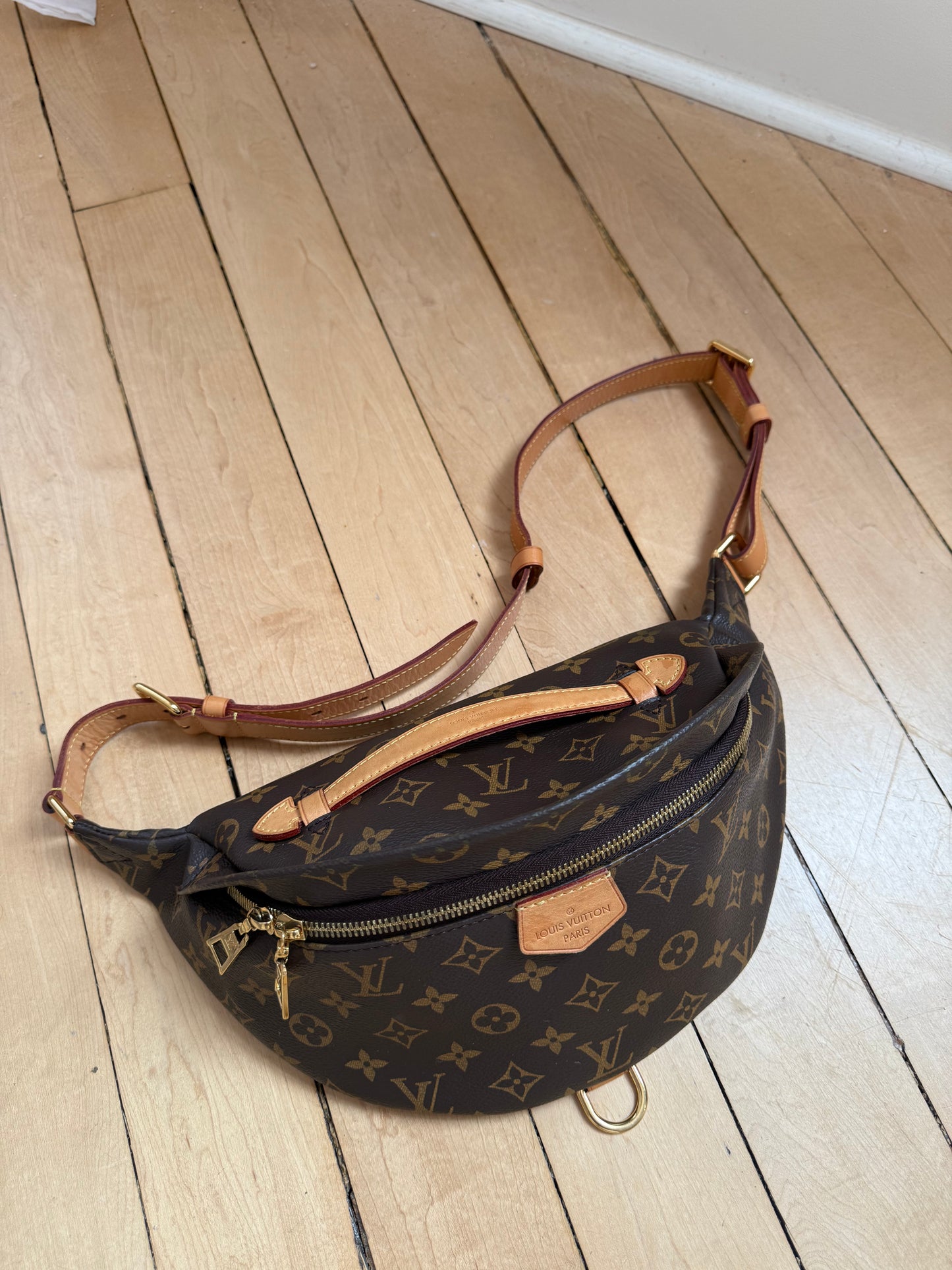 Louis Vuitton Bum Bag