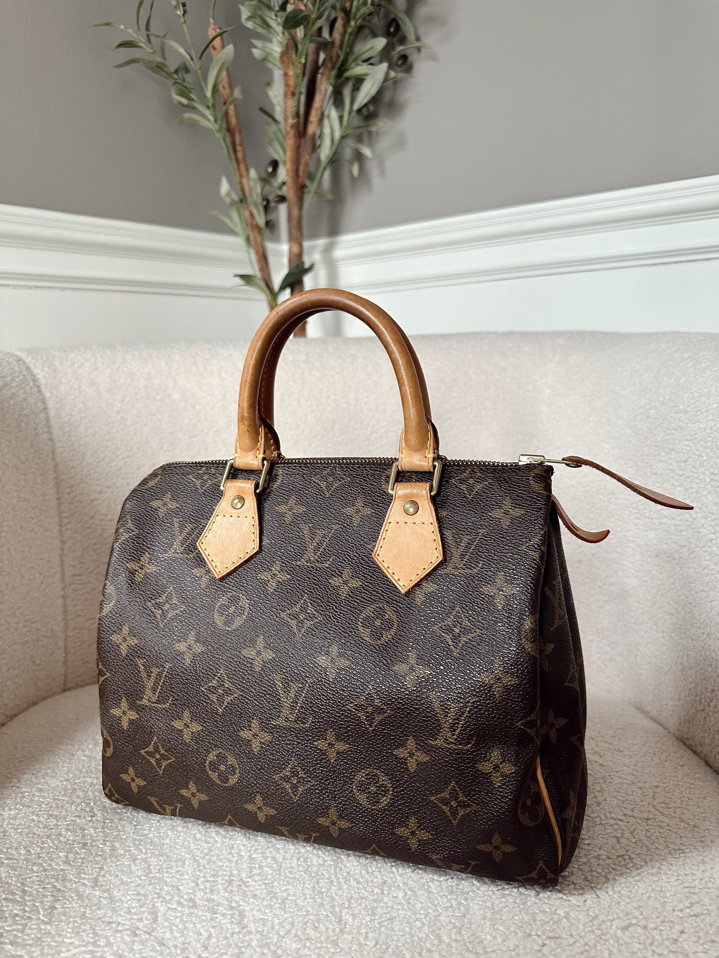 Louis Vuitton Speedy 25 Monogram