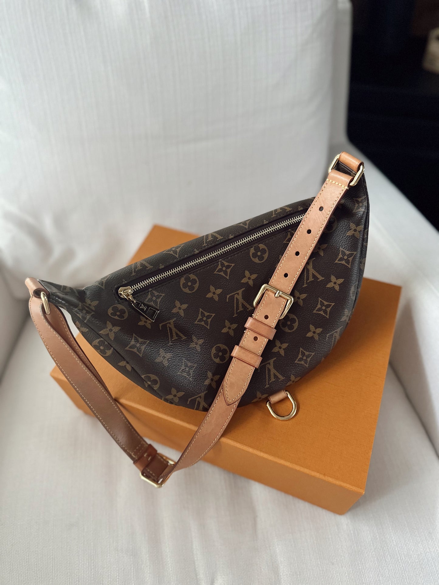 Louis Vuitton Monogram Bumbag