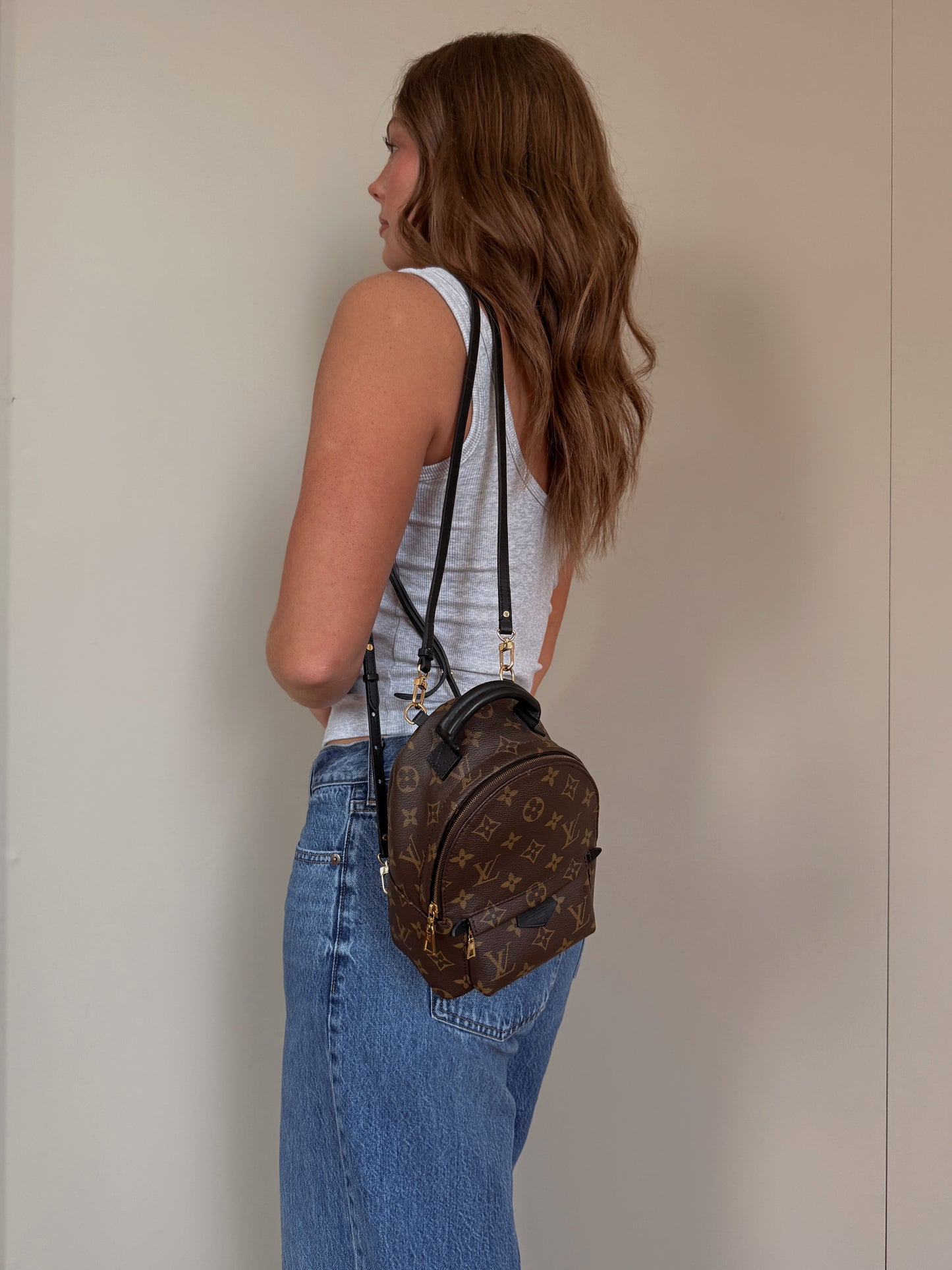 Louis Vuitton Mini Palm Spring Monogram Backpack