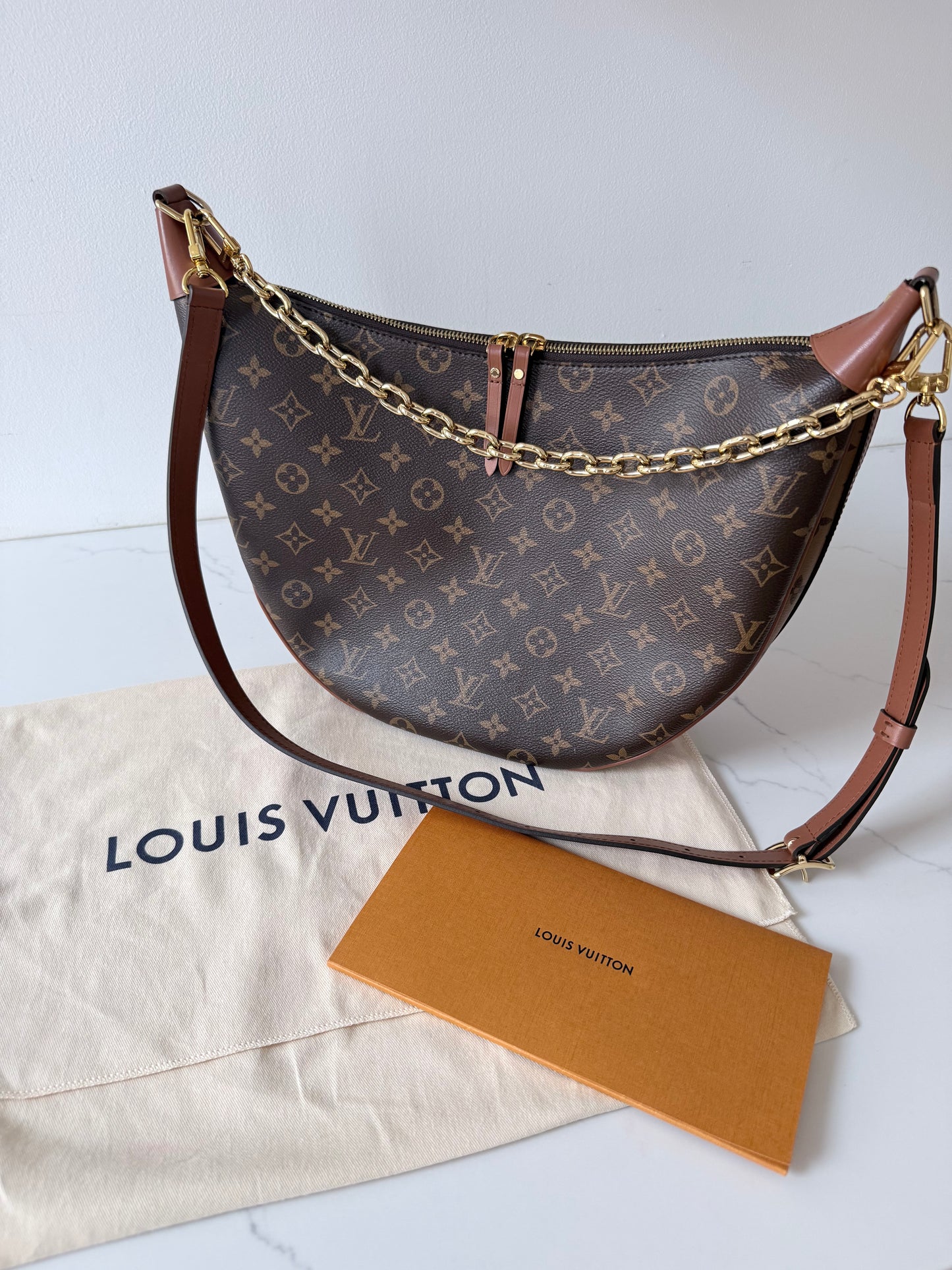 Louis Vuitton Loop Hobo Reverse Monogram Canvas