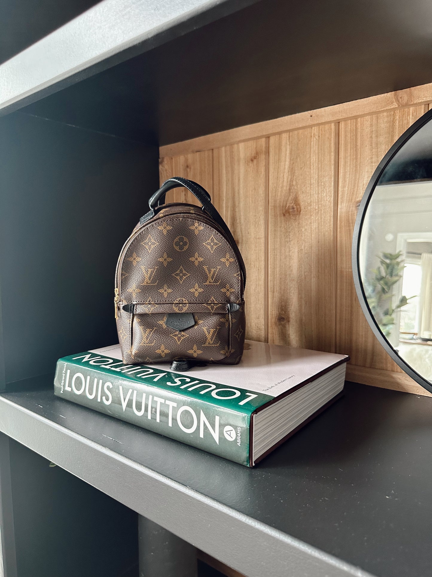 Louis Vuitton Palm Springs Mini Backpack