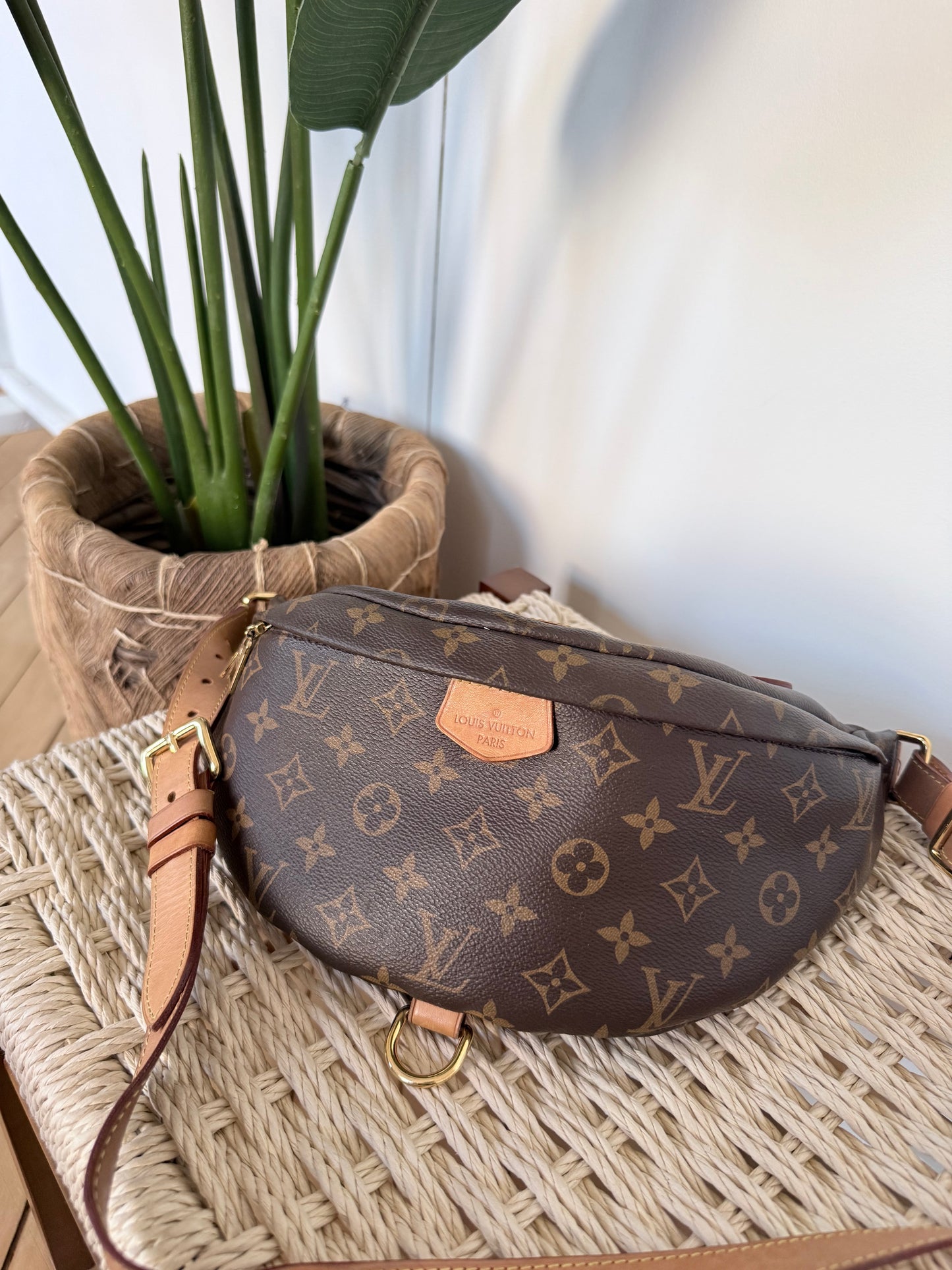 Louis Vuitton Bumbag Monogram