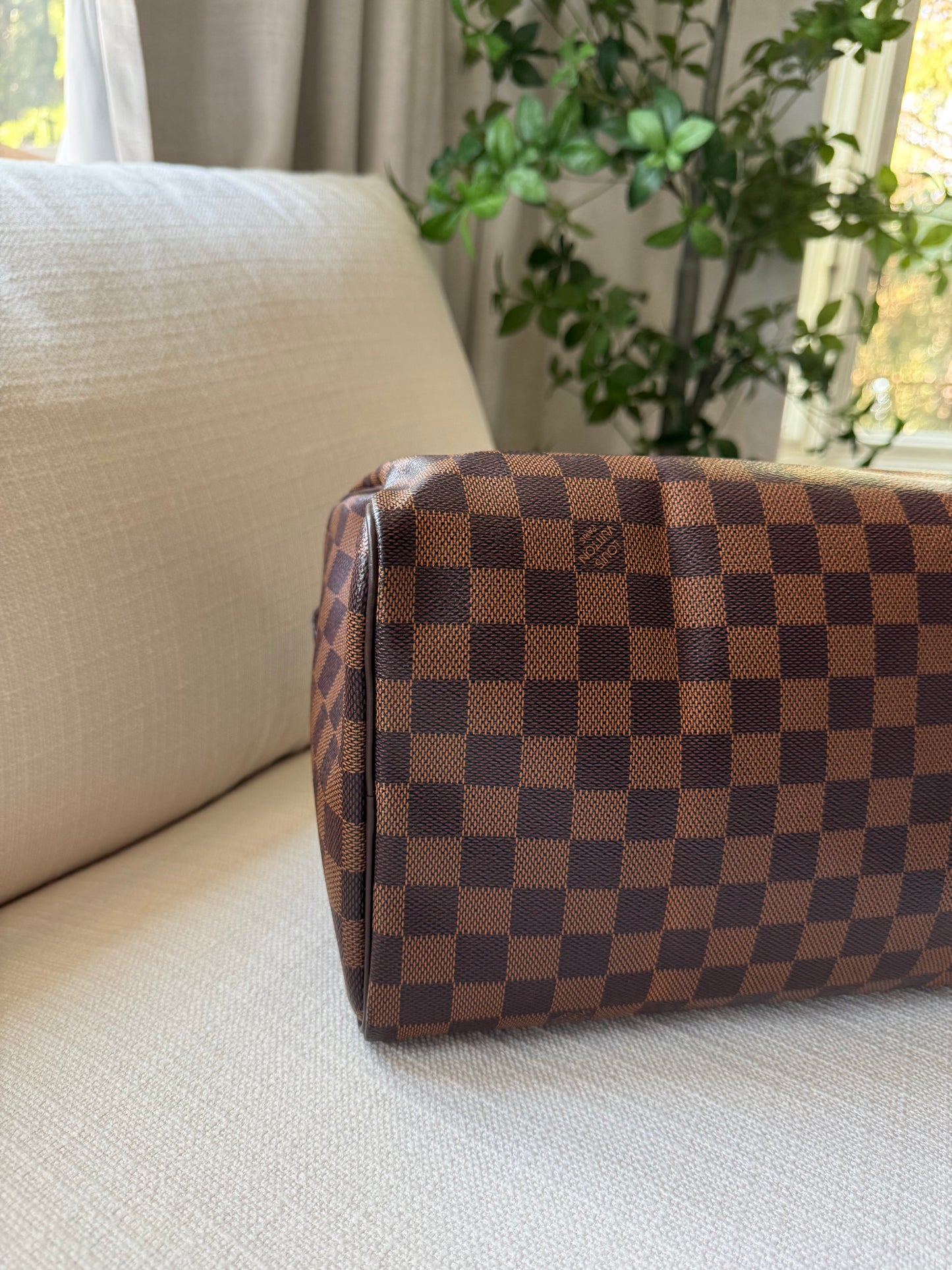 Louis Vuitton Speedy 30 Damier Ebene
