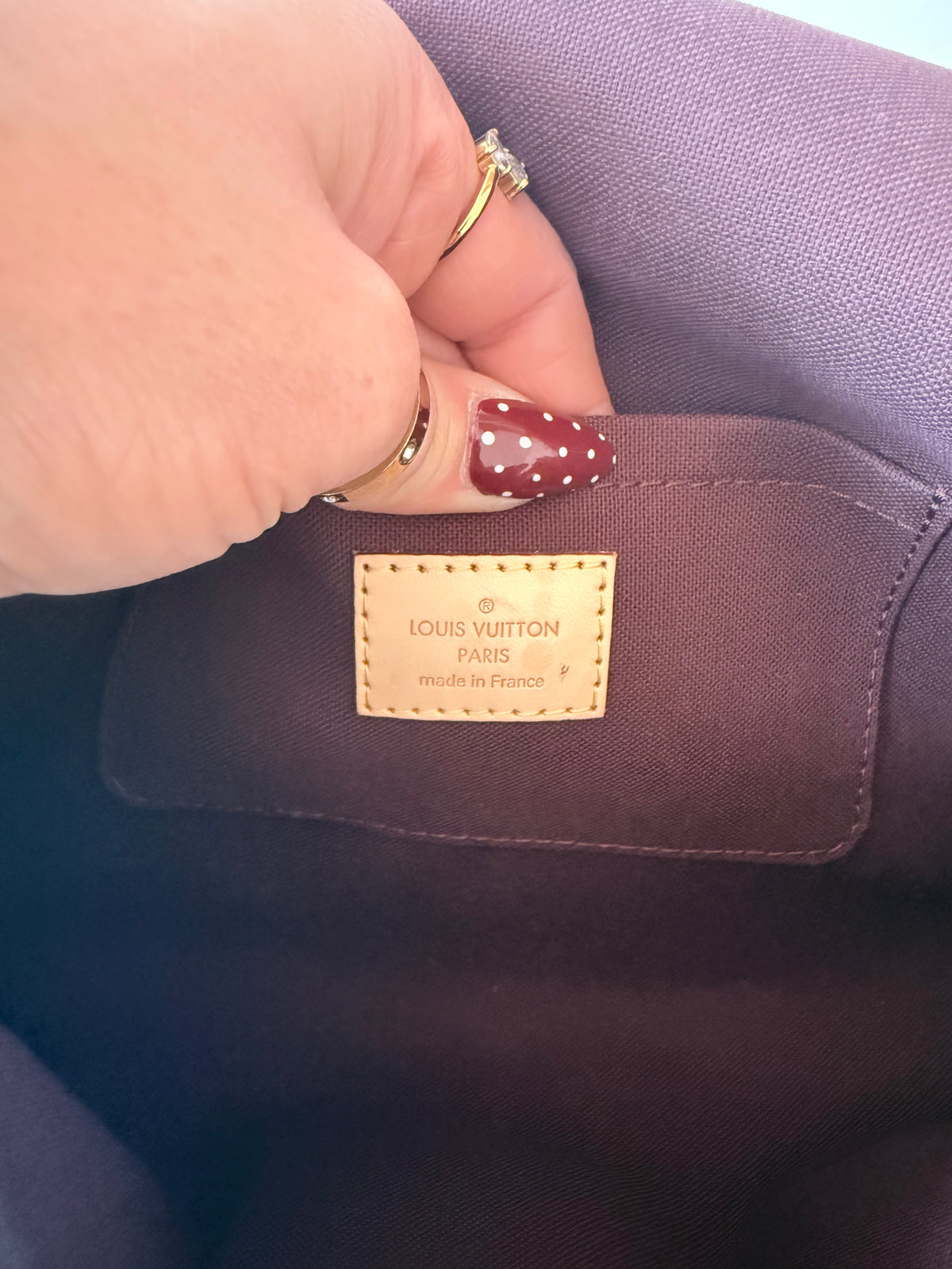 Louis Vuitton Favorite MM Monogram