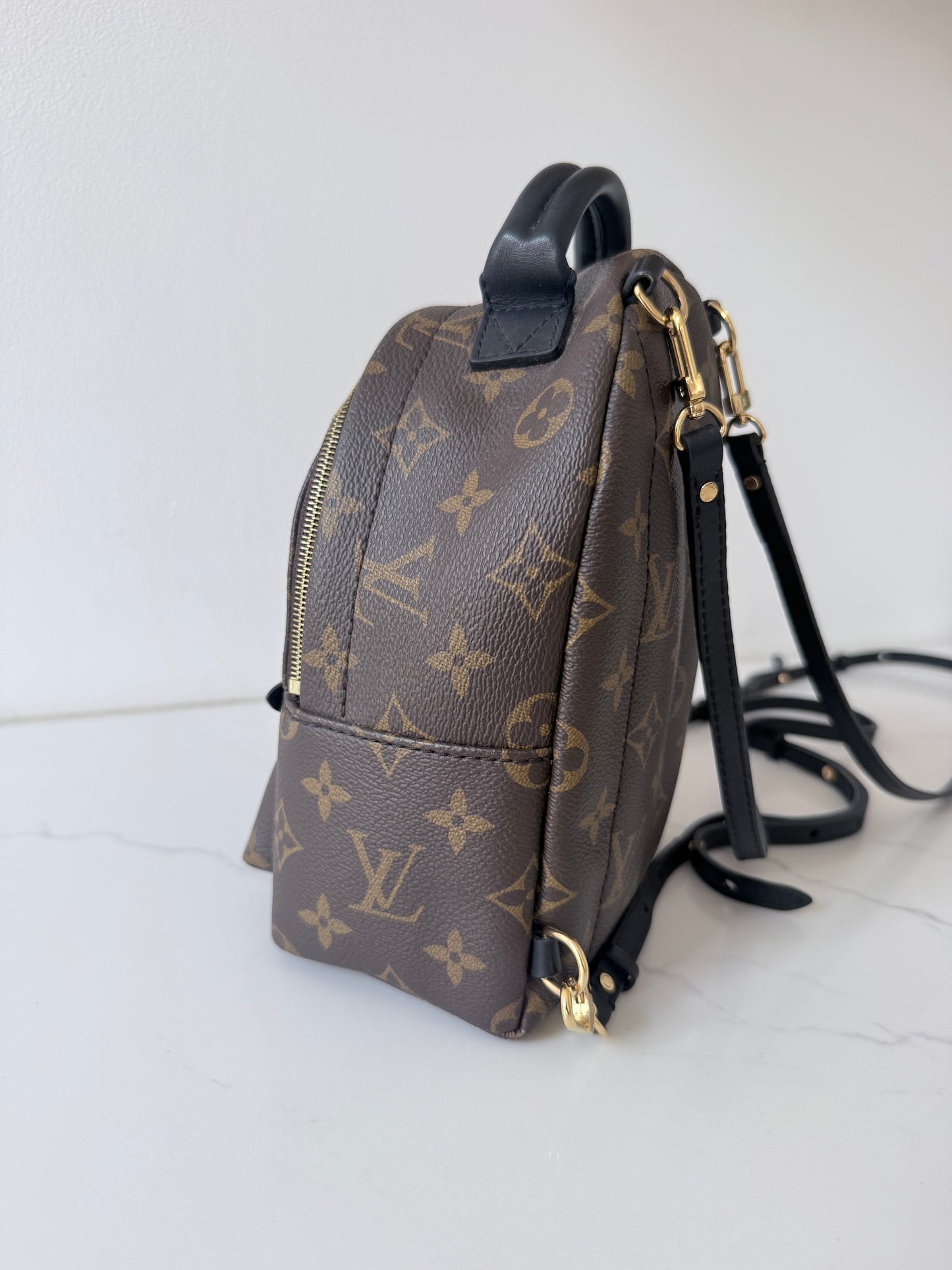Louis Vuitton Mini Palm Spring Monogram Backpack