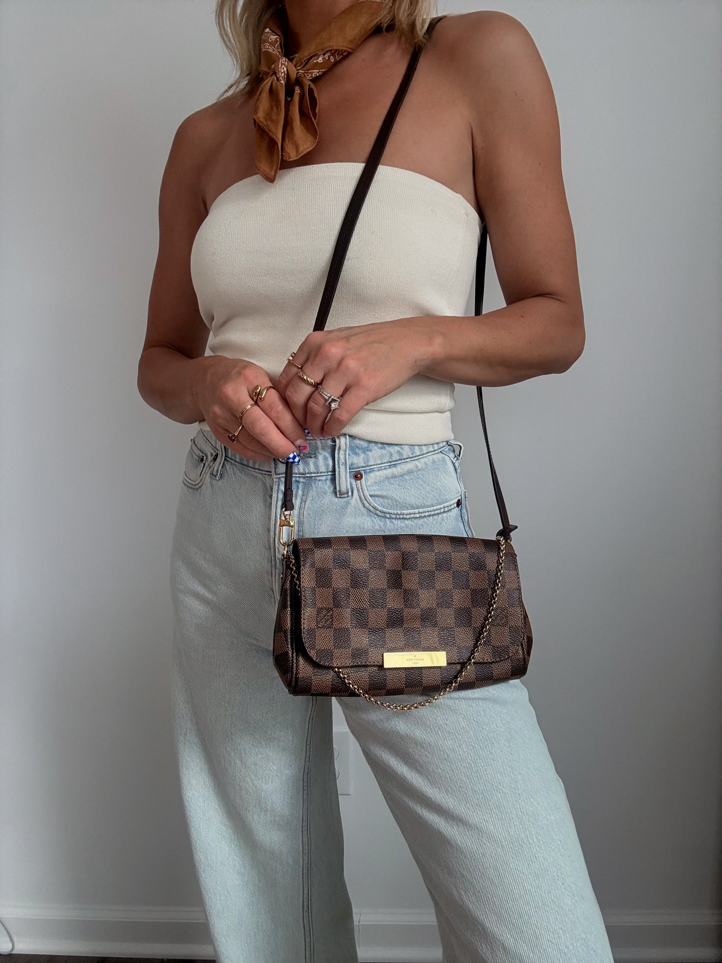 Louis Vuitton Favorite PM Damier Ebene
