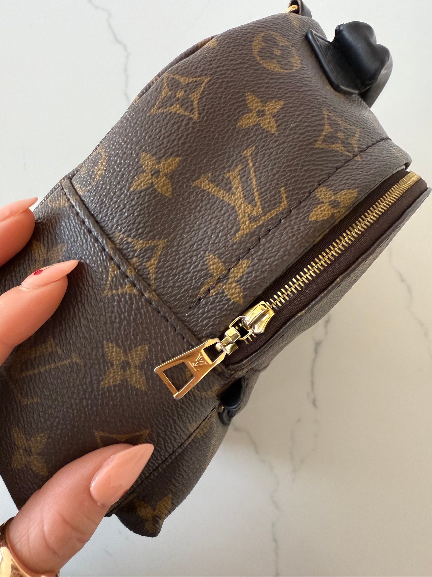 Louis Vuitton Mini Palm Spring Backpack
