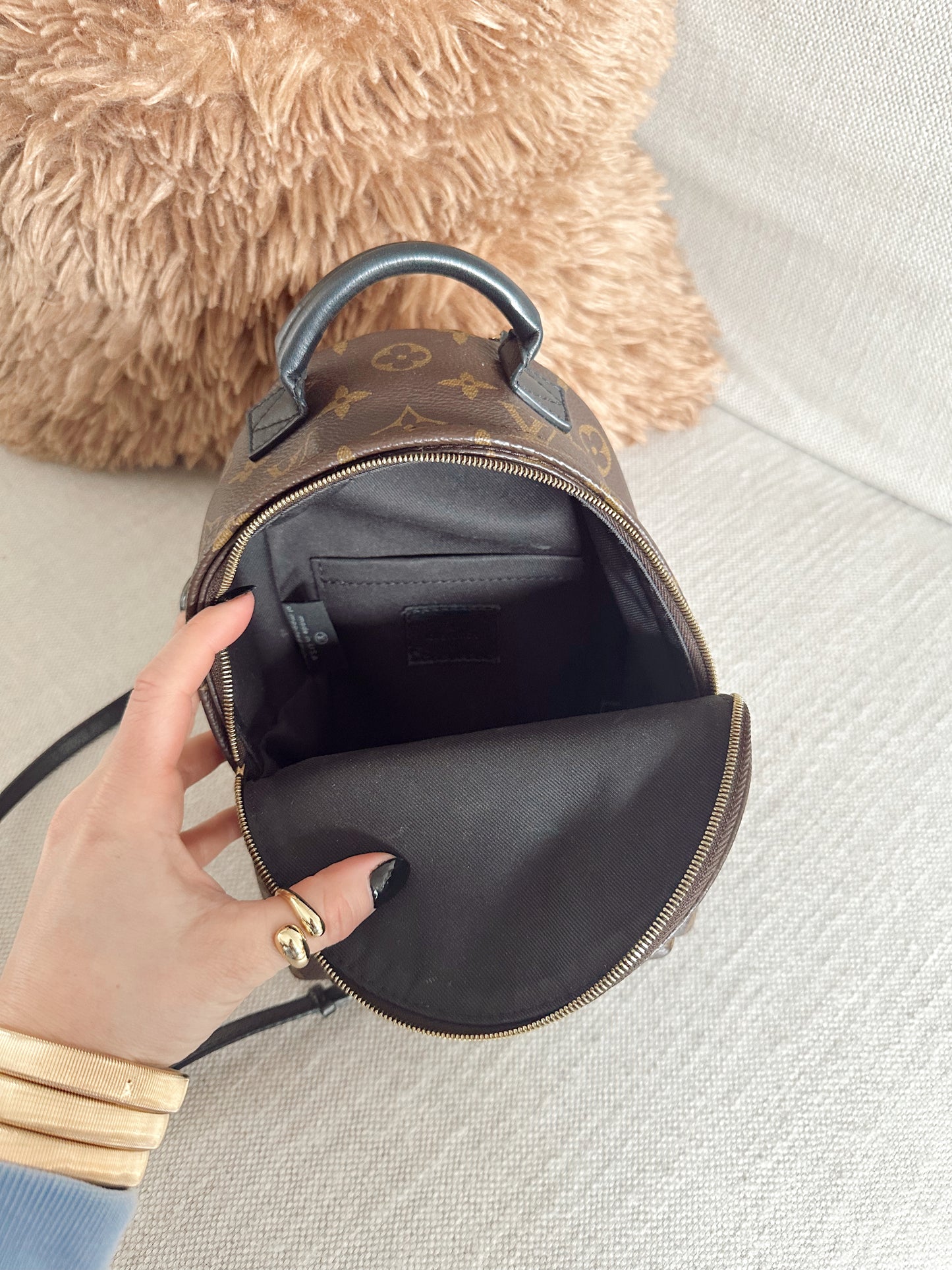 Louis Vuitton Palm Springs Mini Backpack