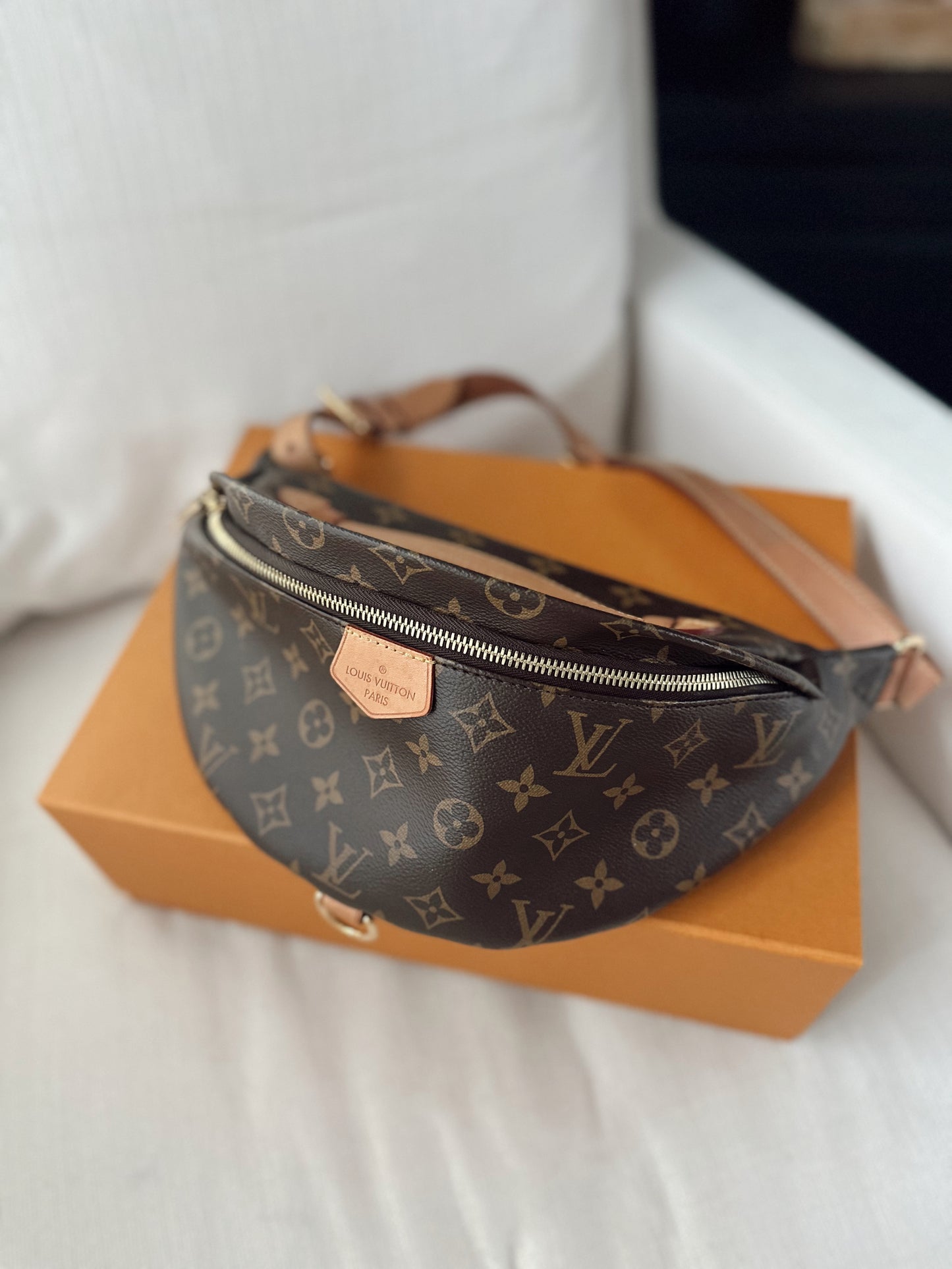 Louis Vuitton Monogram Bumbag