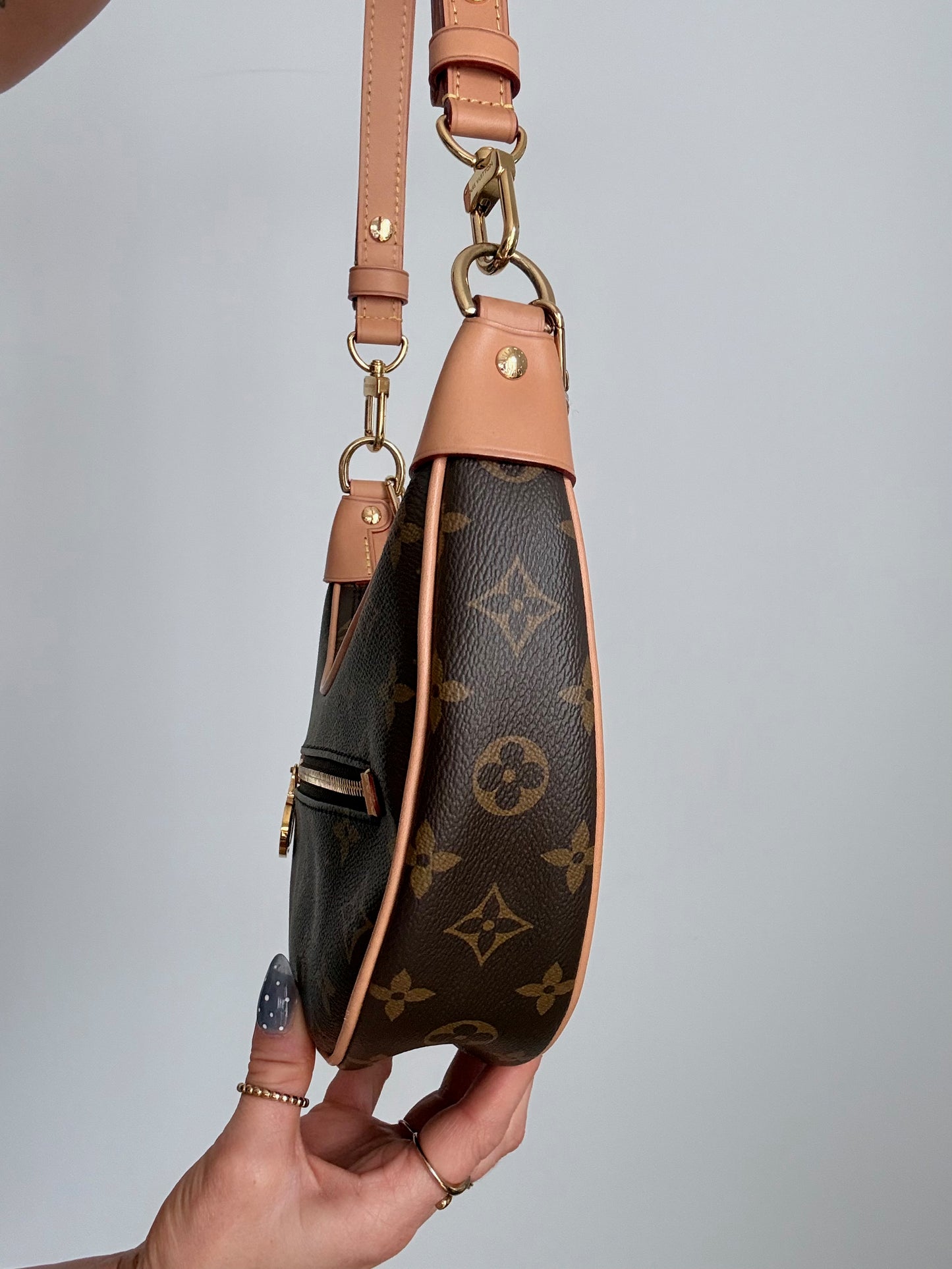 Louis Vuitton Monogram Loop