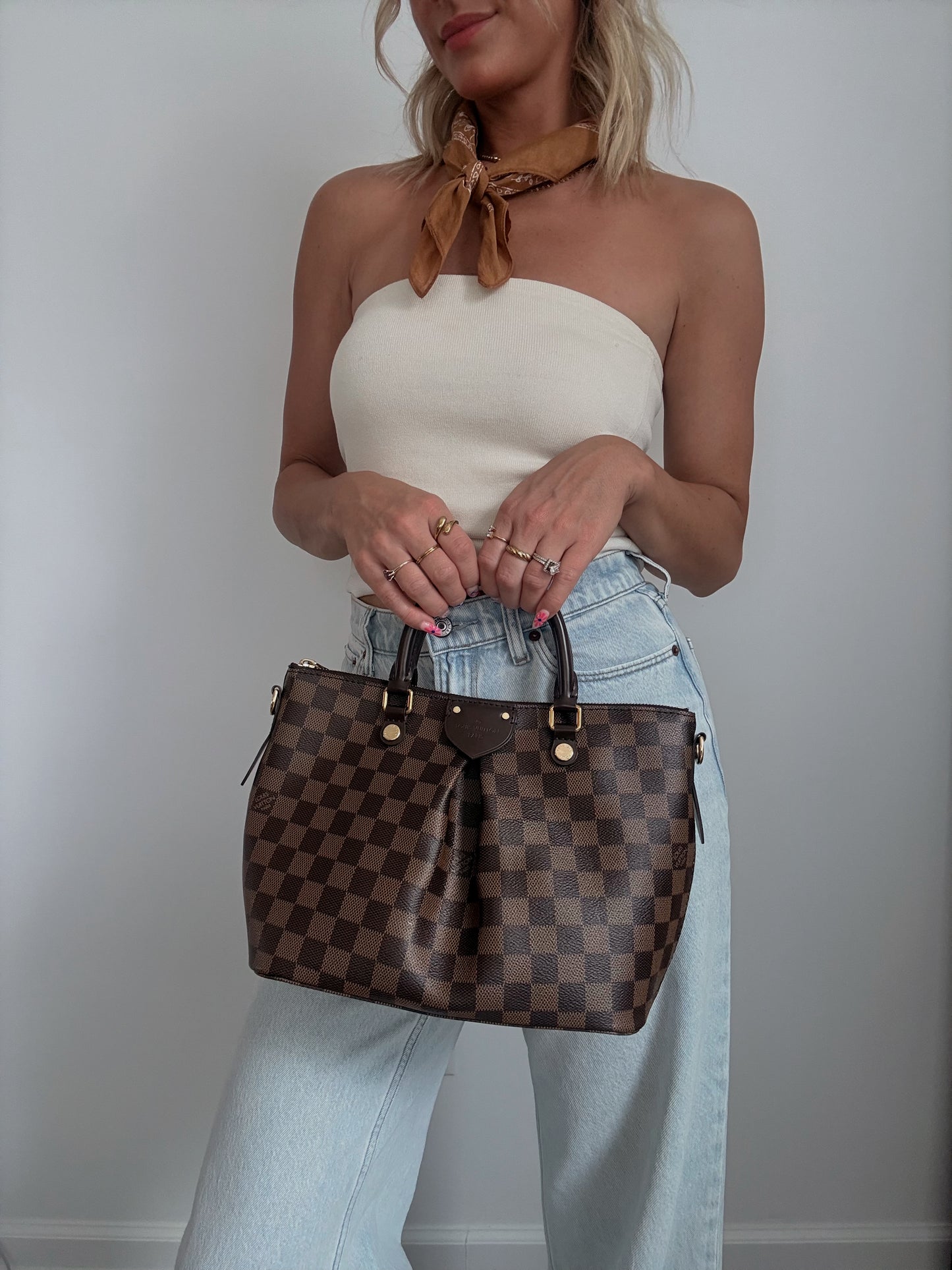 Louis Vuitton Siena Damier Ebene PM