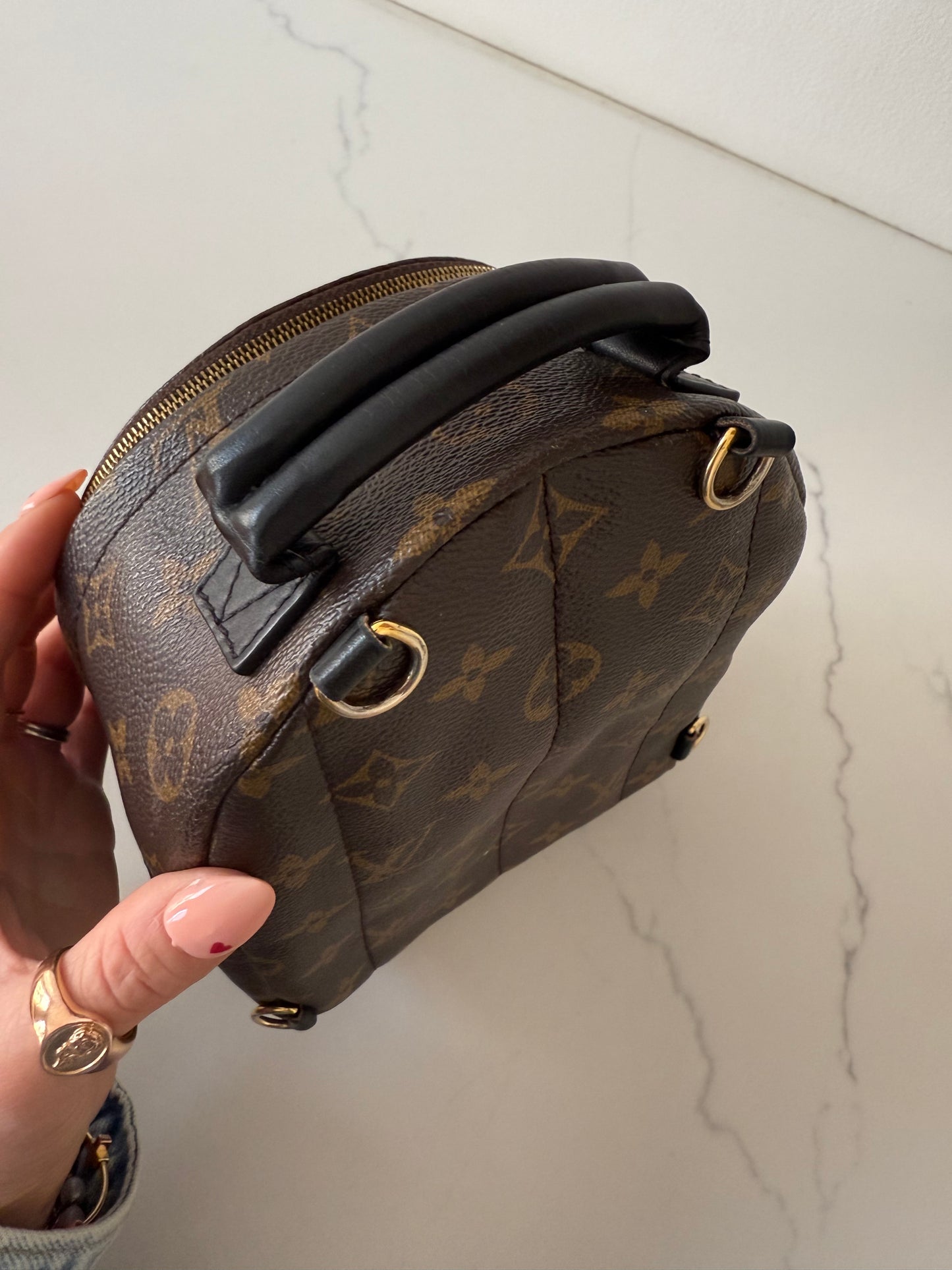 Louis Vuitton Mini Palm Spring Backpack
