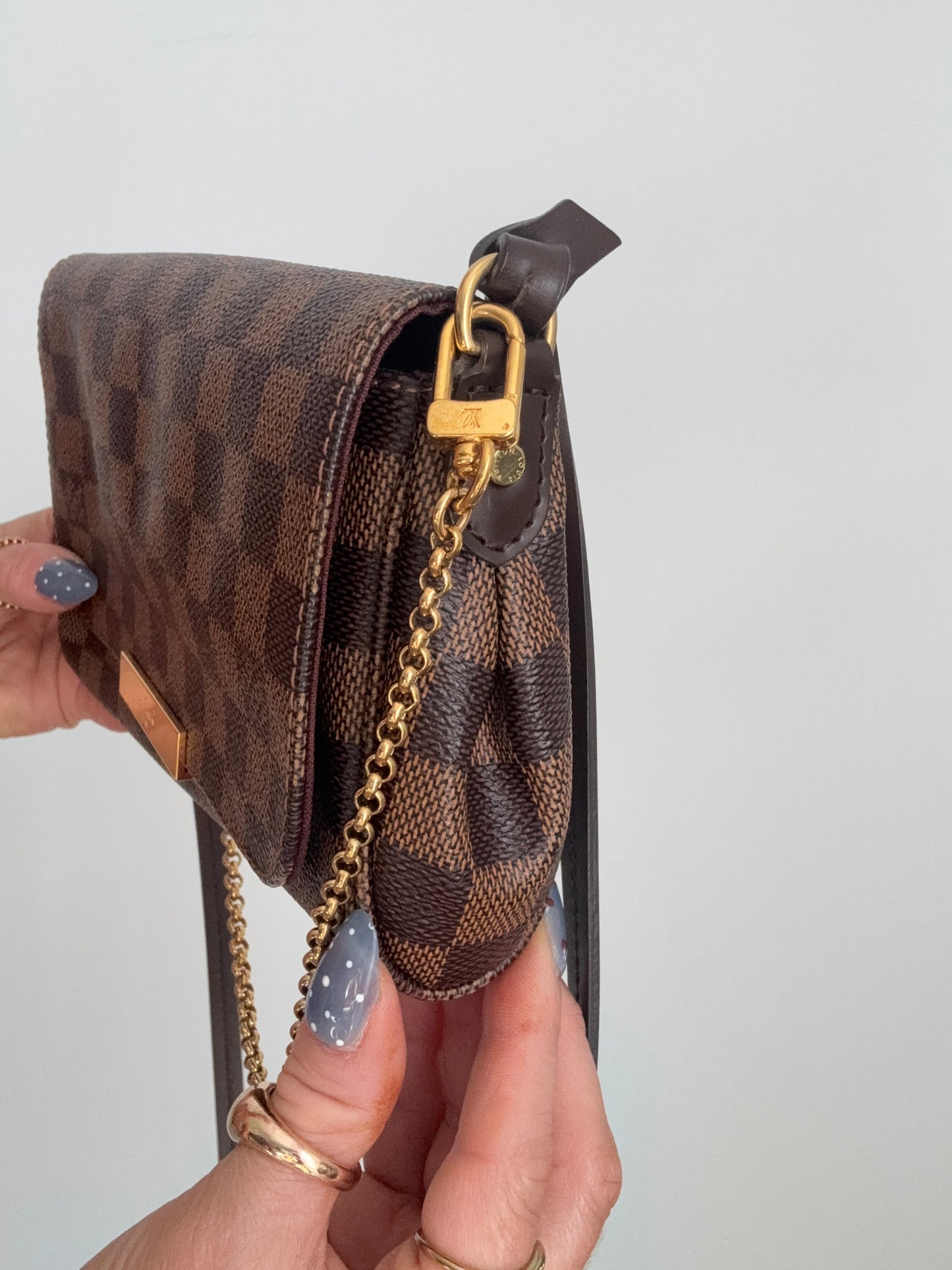 Louis Vuitton Favorite PM Damier Ebene