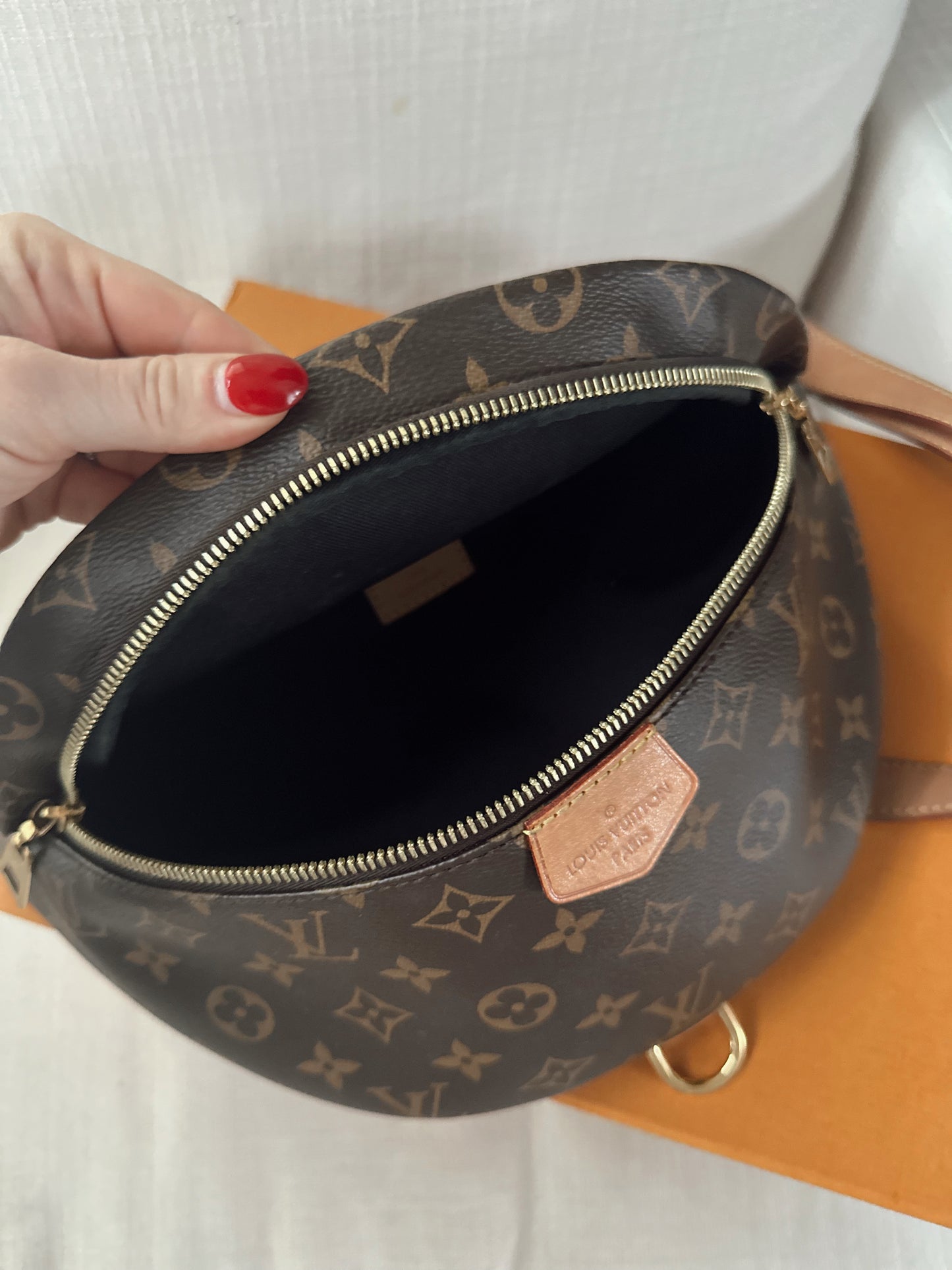 Louis Vuitton Monogram Bumbag