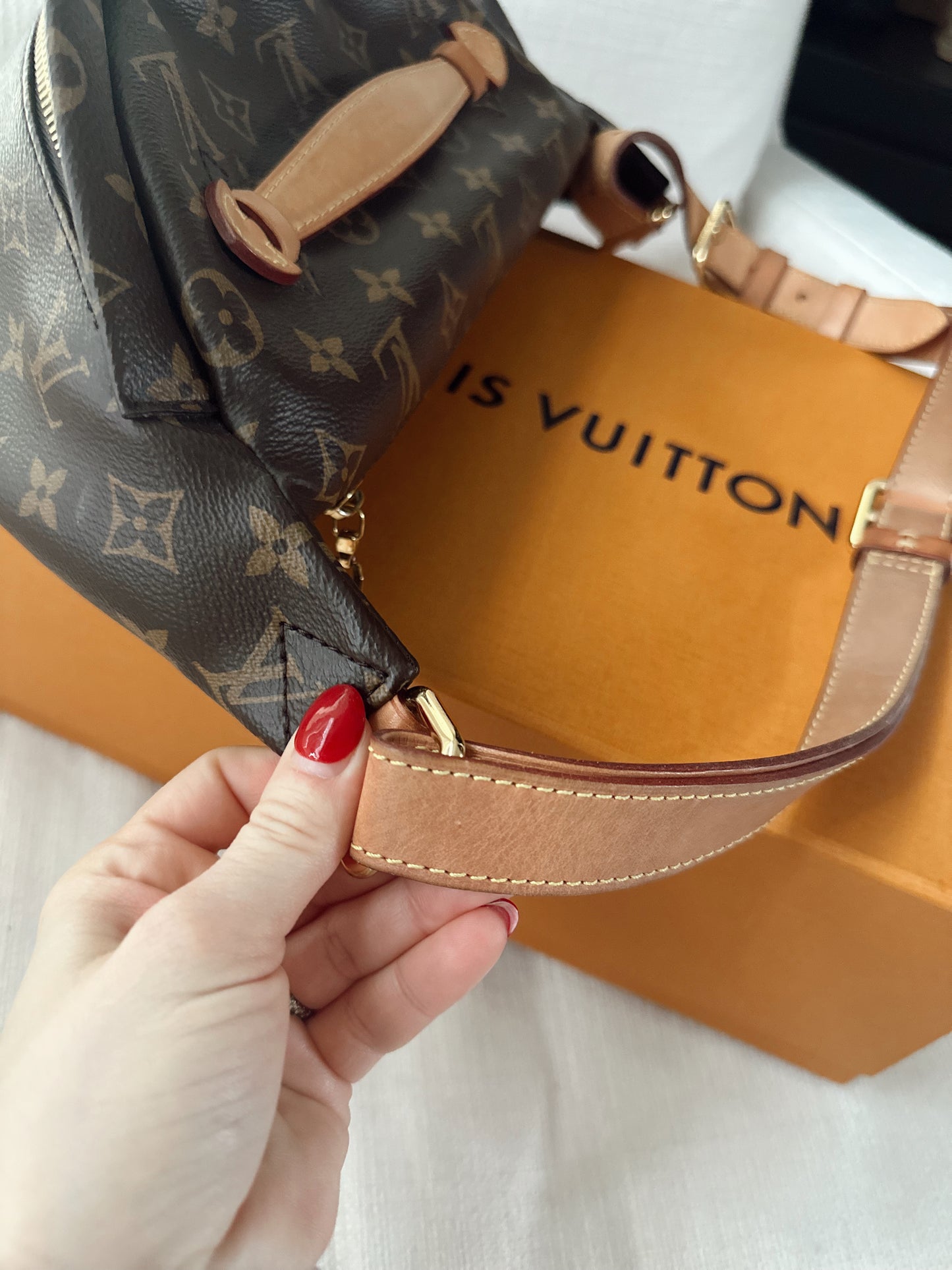 Louis Vuitton Monogram Bumbag