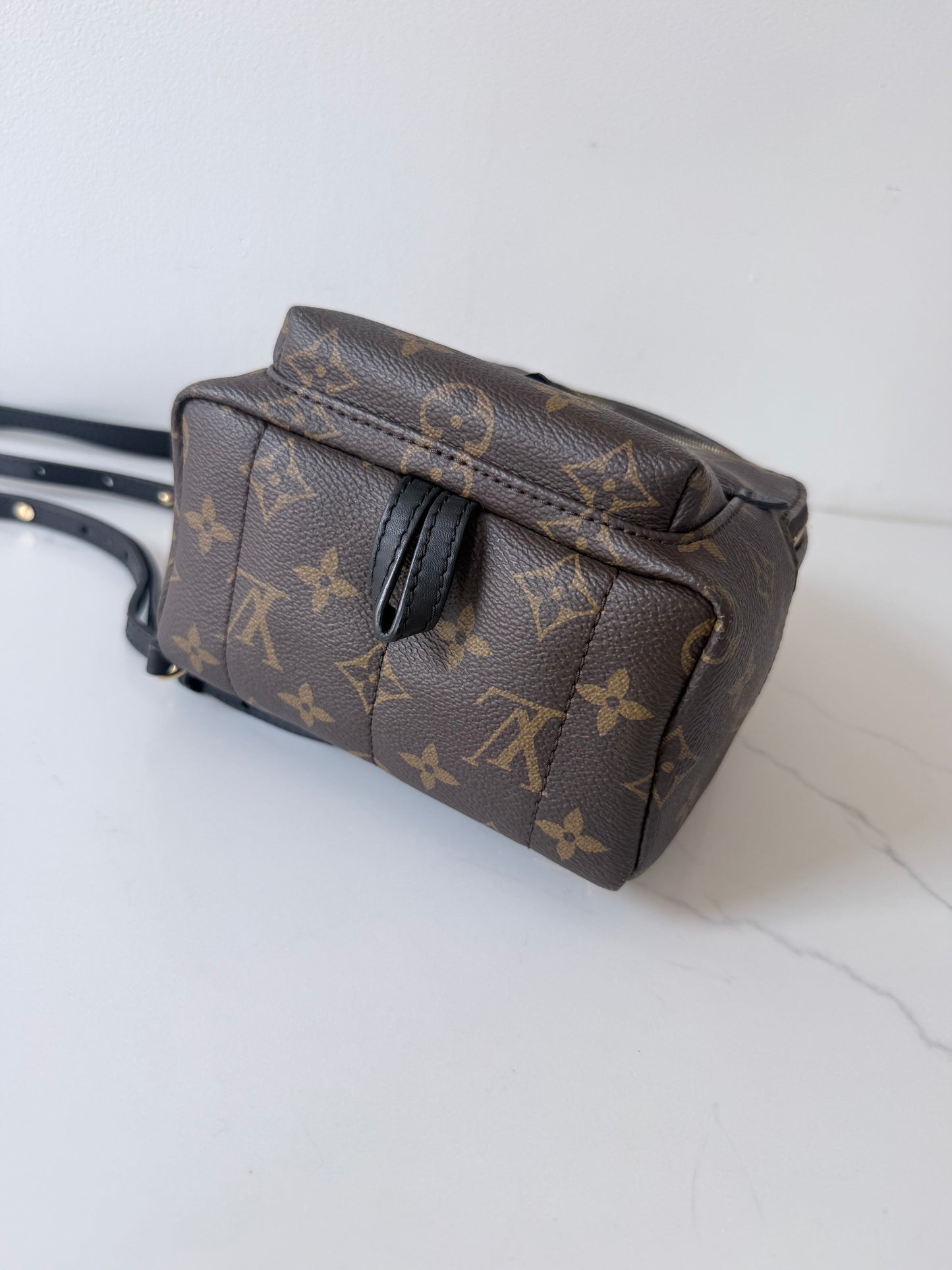 Louis Vuitton Mini Palm Spring Monogram Backpack