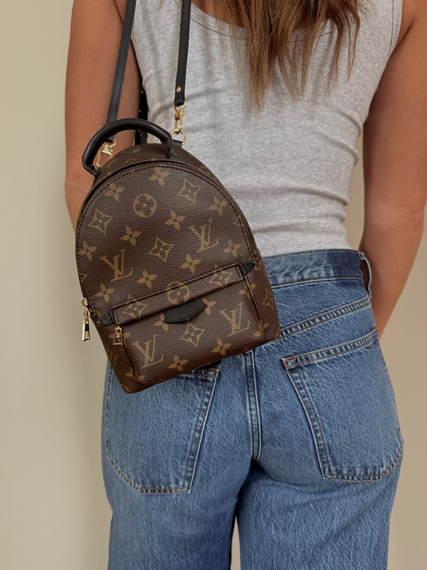 Louis Vuitton Mini Palm Spring Monogram Backpack