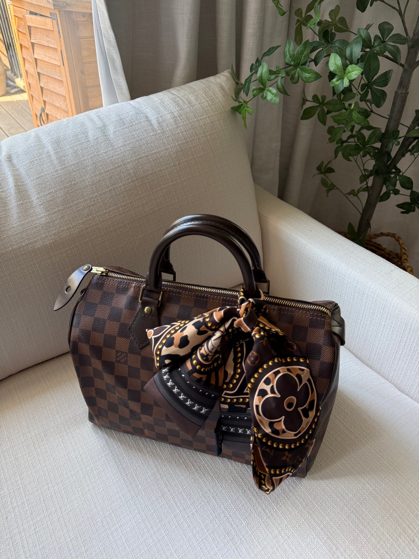 Louis Vuitton Speedy 30 Damier Ebene