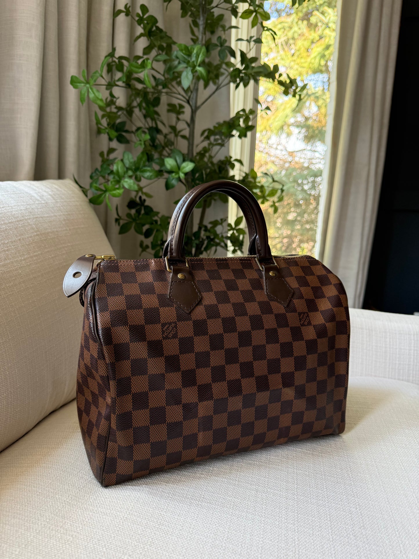 Louis Vuitton Speedy 30 Damier Ebene