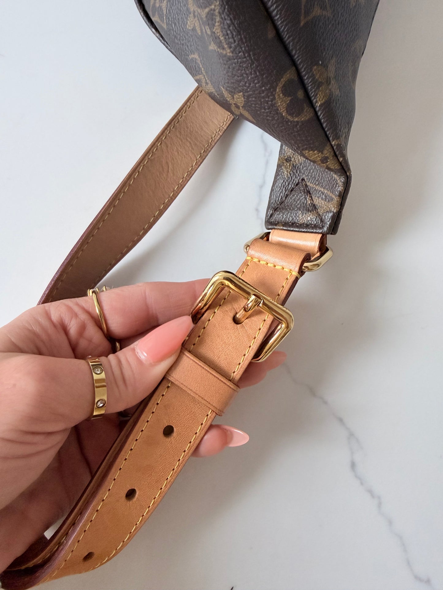 Louis Vuitton Bumbag Monogram