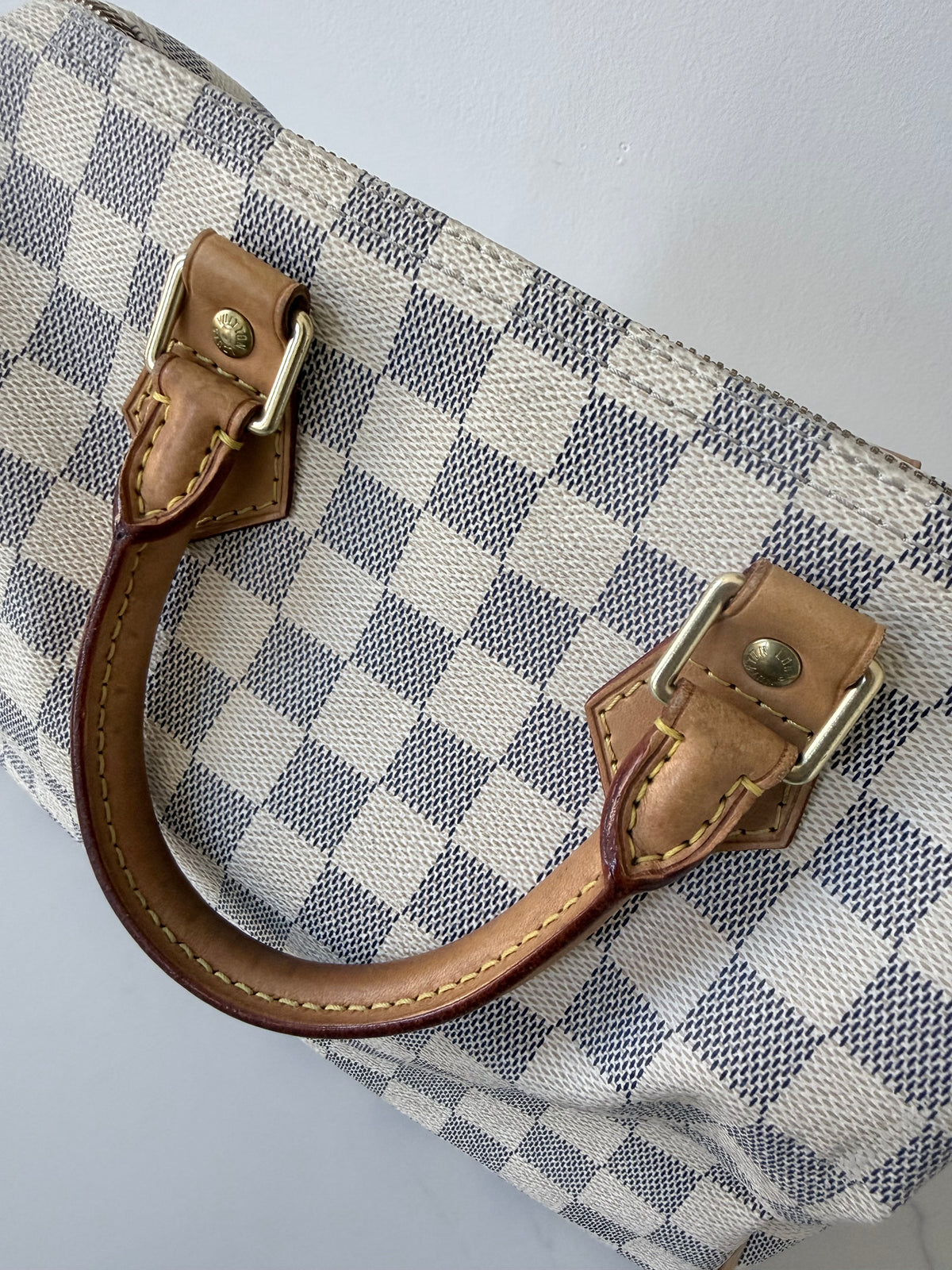 Louis Vuitton Speedy 25 Azur