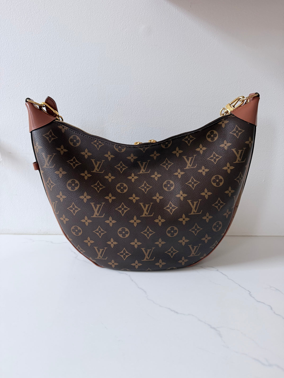 Louis Vuitton Loop Hobo Reverse Monogram Canvas